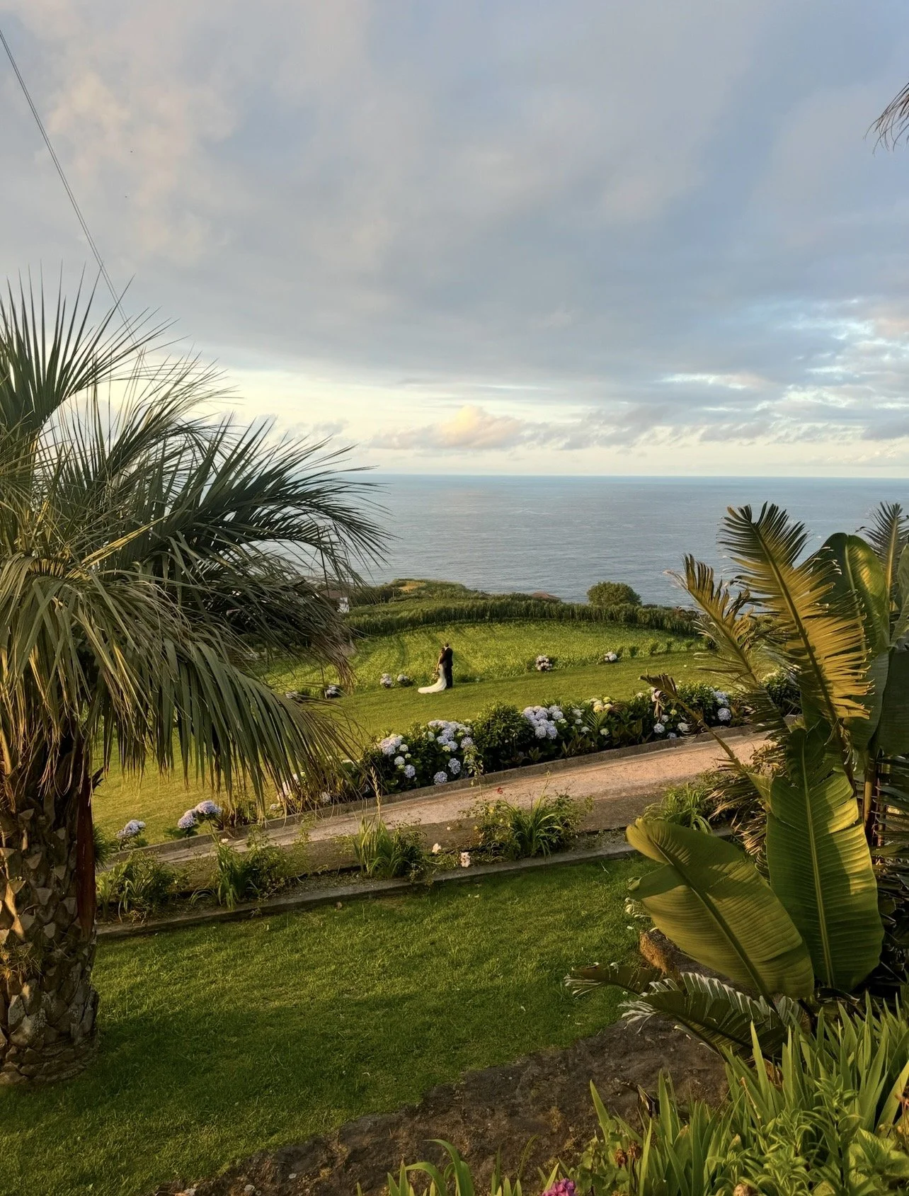 A coastal garden with lush green grass, flowering bushes, tropical plants, and palm trees overlooking the ocean with cloudy skies.