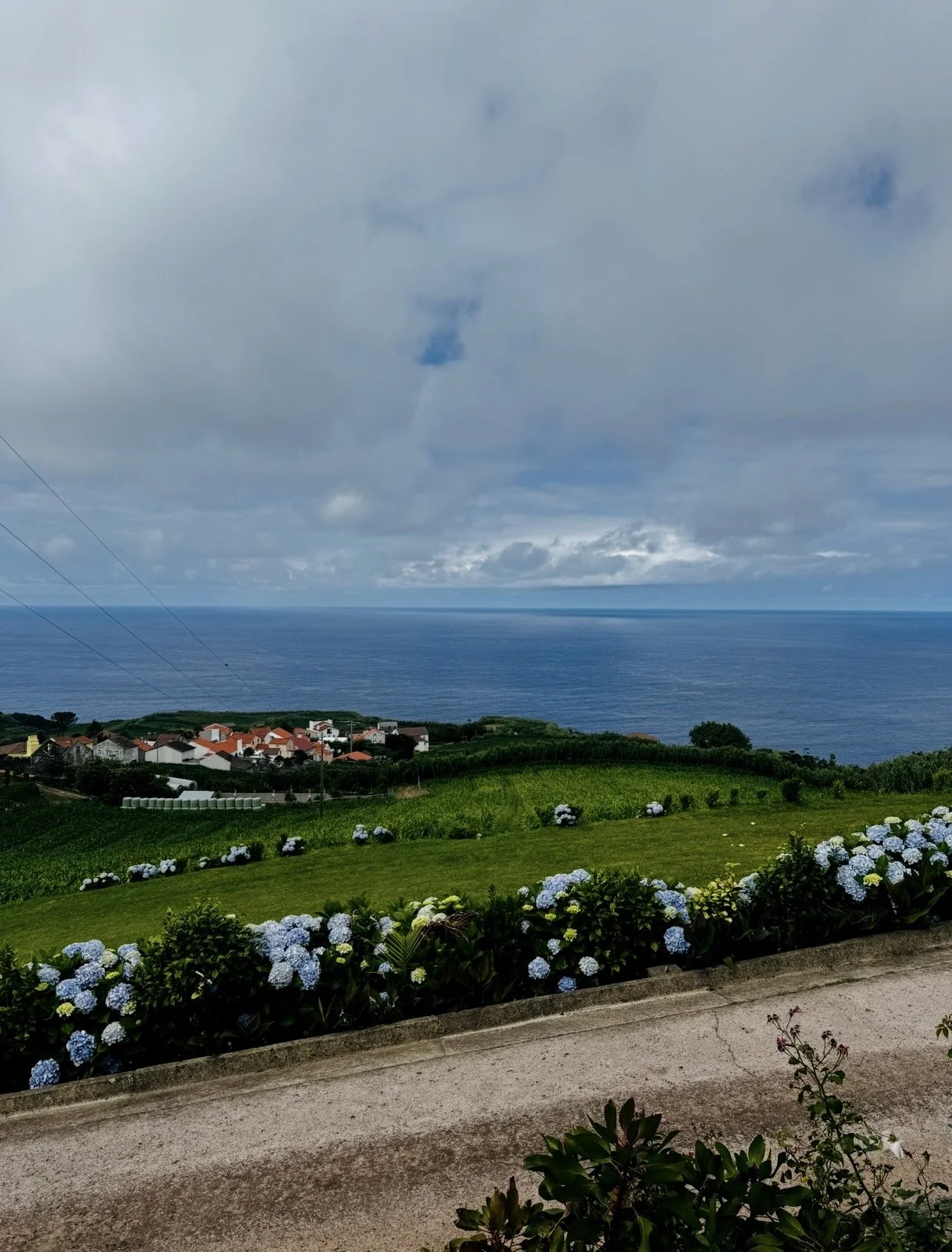 A coastal landscape with a small village, greenery, flowers, and the ocean under a cloudy sky.