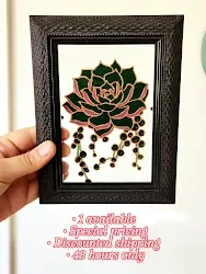 succulent flash sale 2.webp