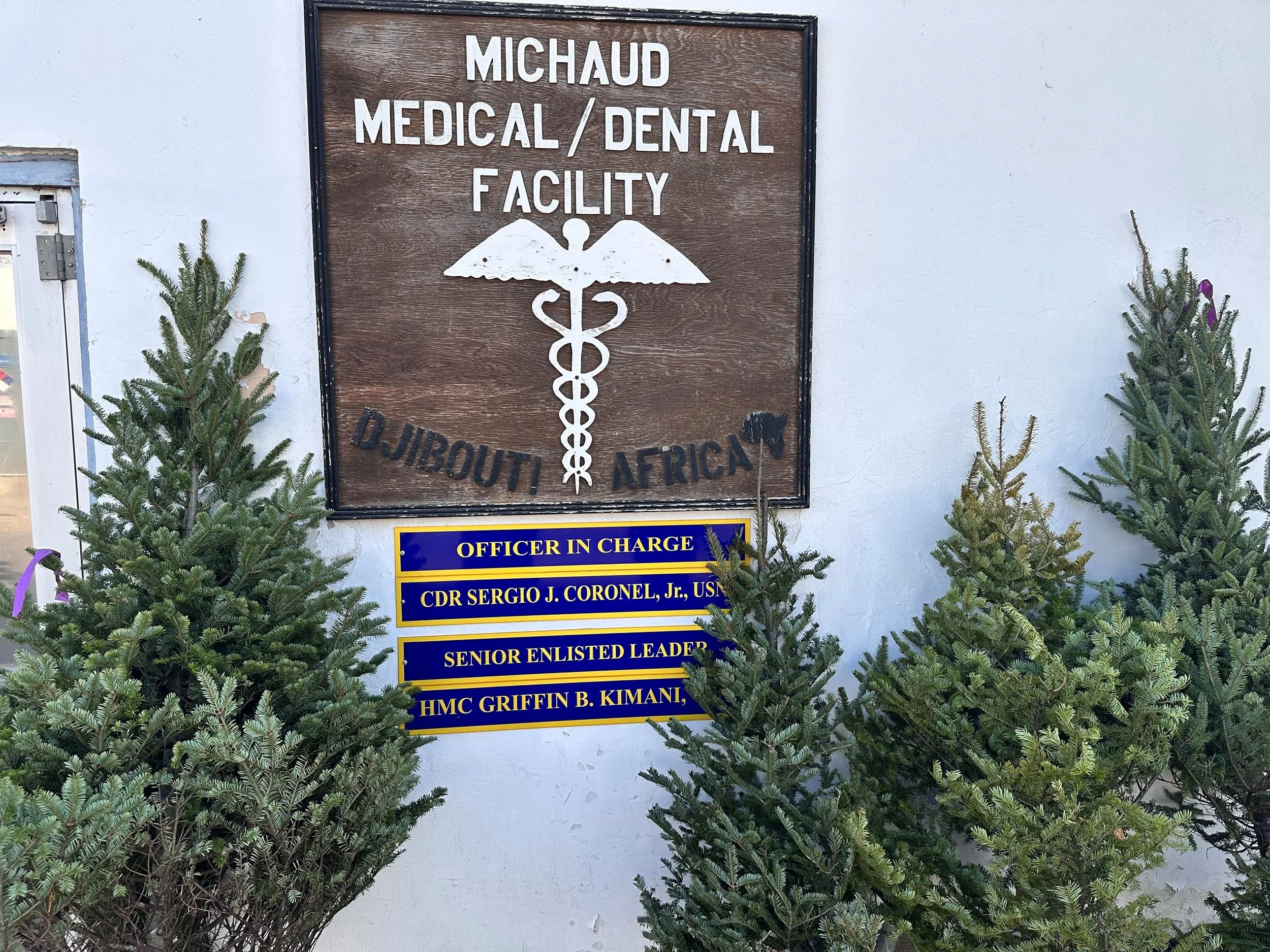 Oh Christmas Tree!!.jpg