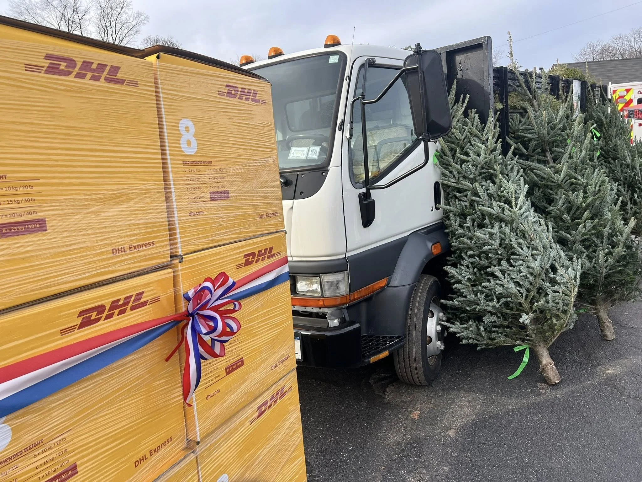 TFT 2025-with trees and DHL boxes.jpg