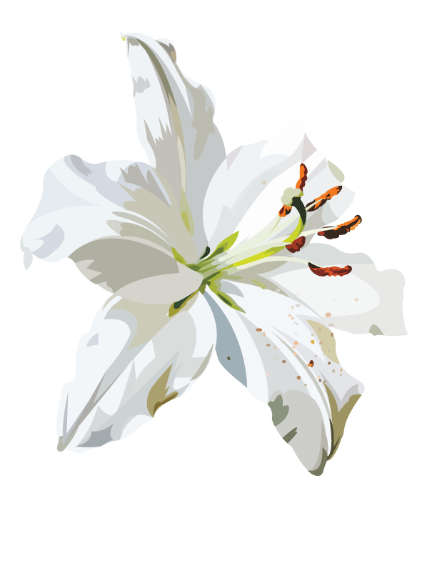 flower.gif