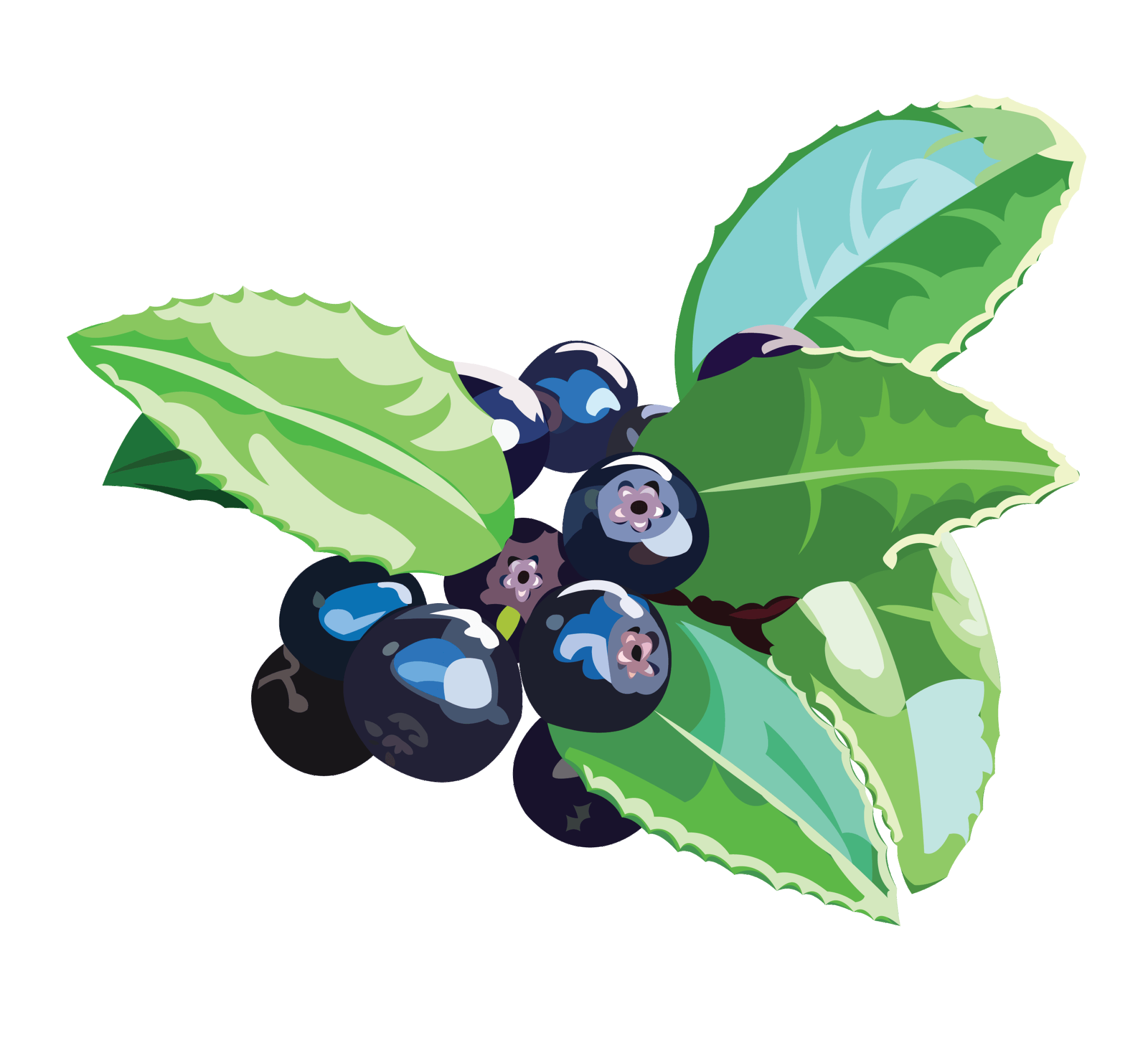 huckleberries.gif