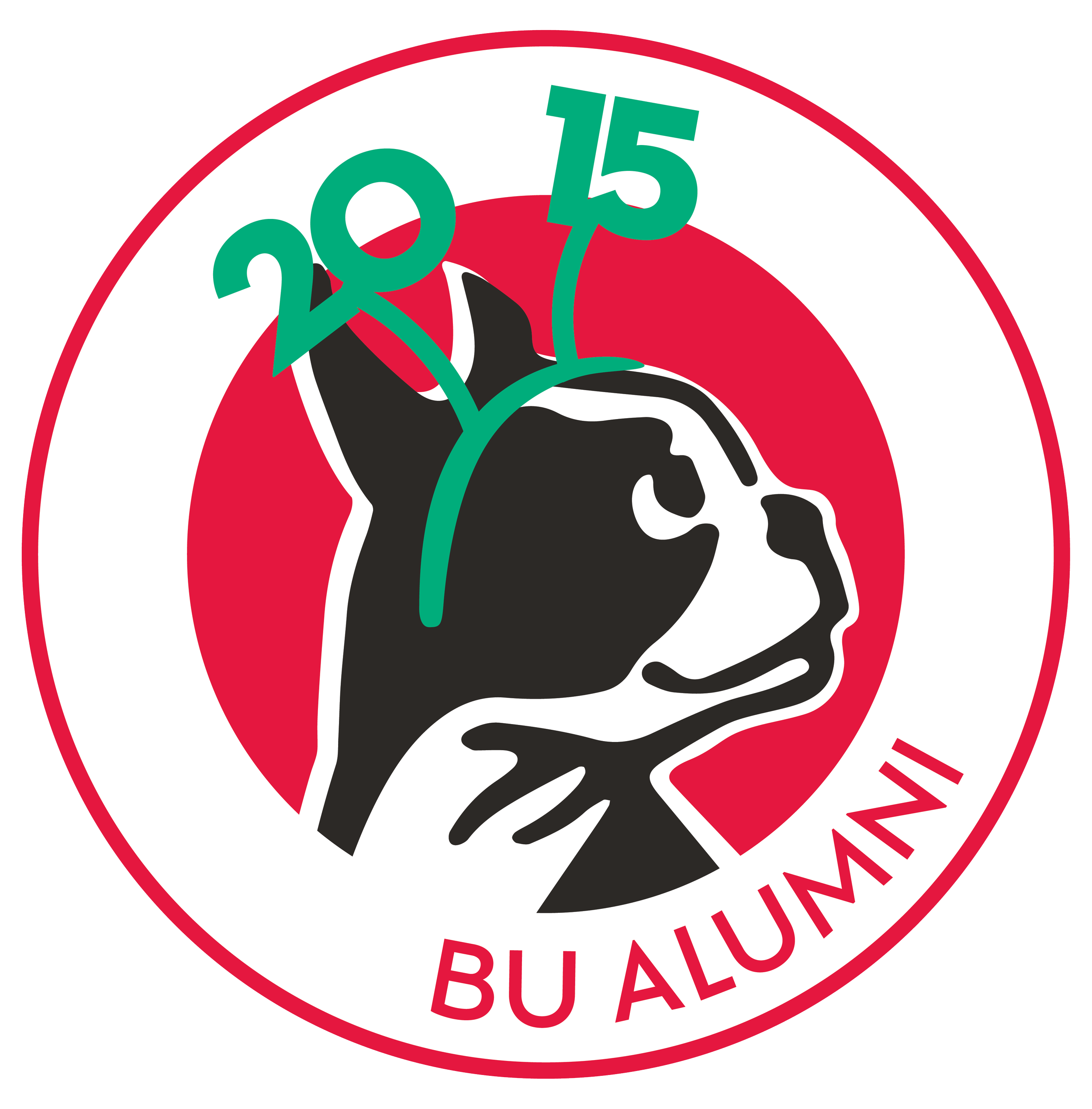 Class of 2015 10th reunion pin design