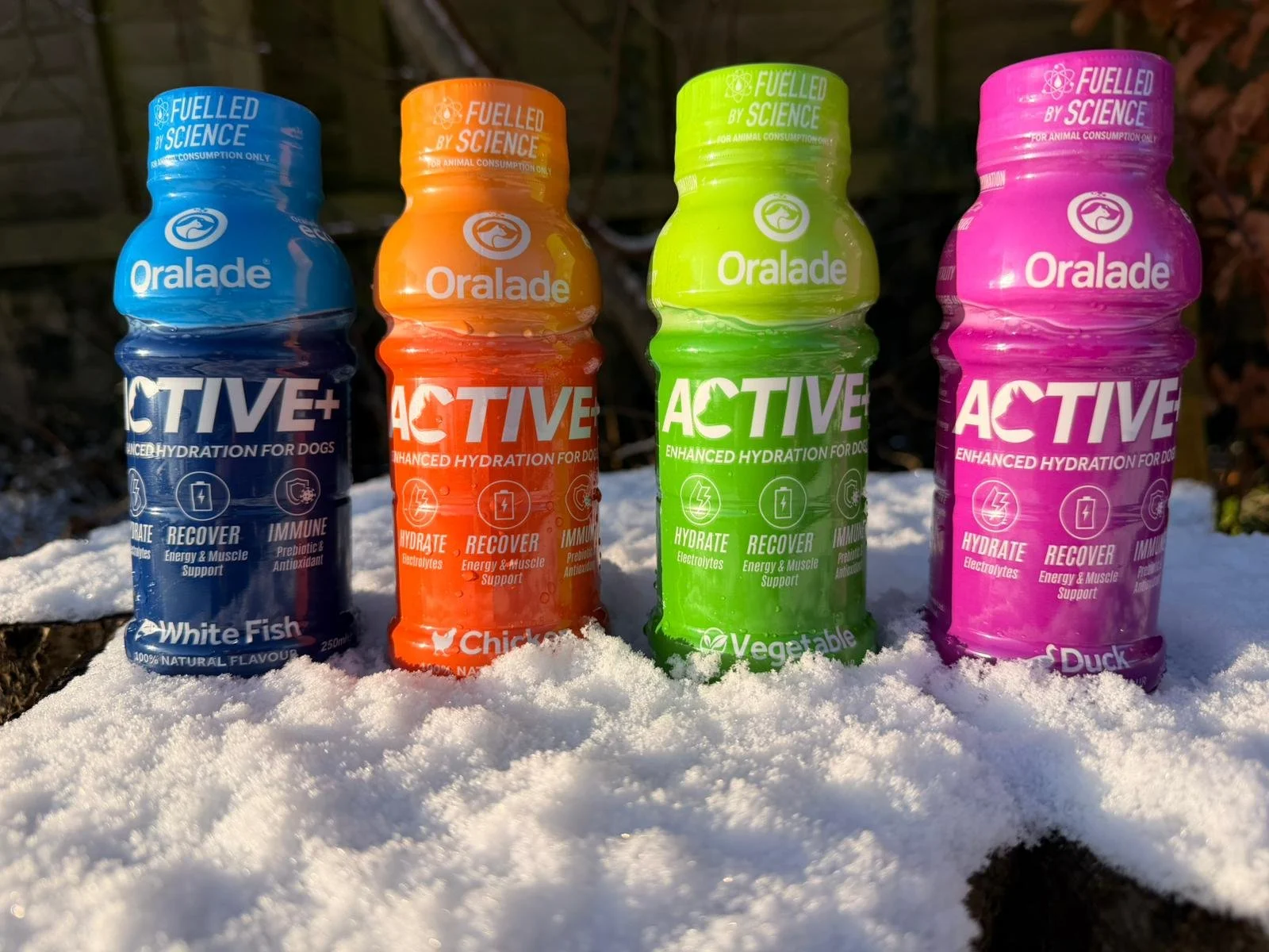 Oralade Active+