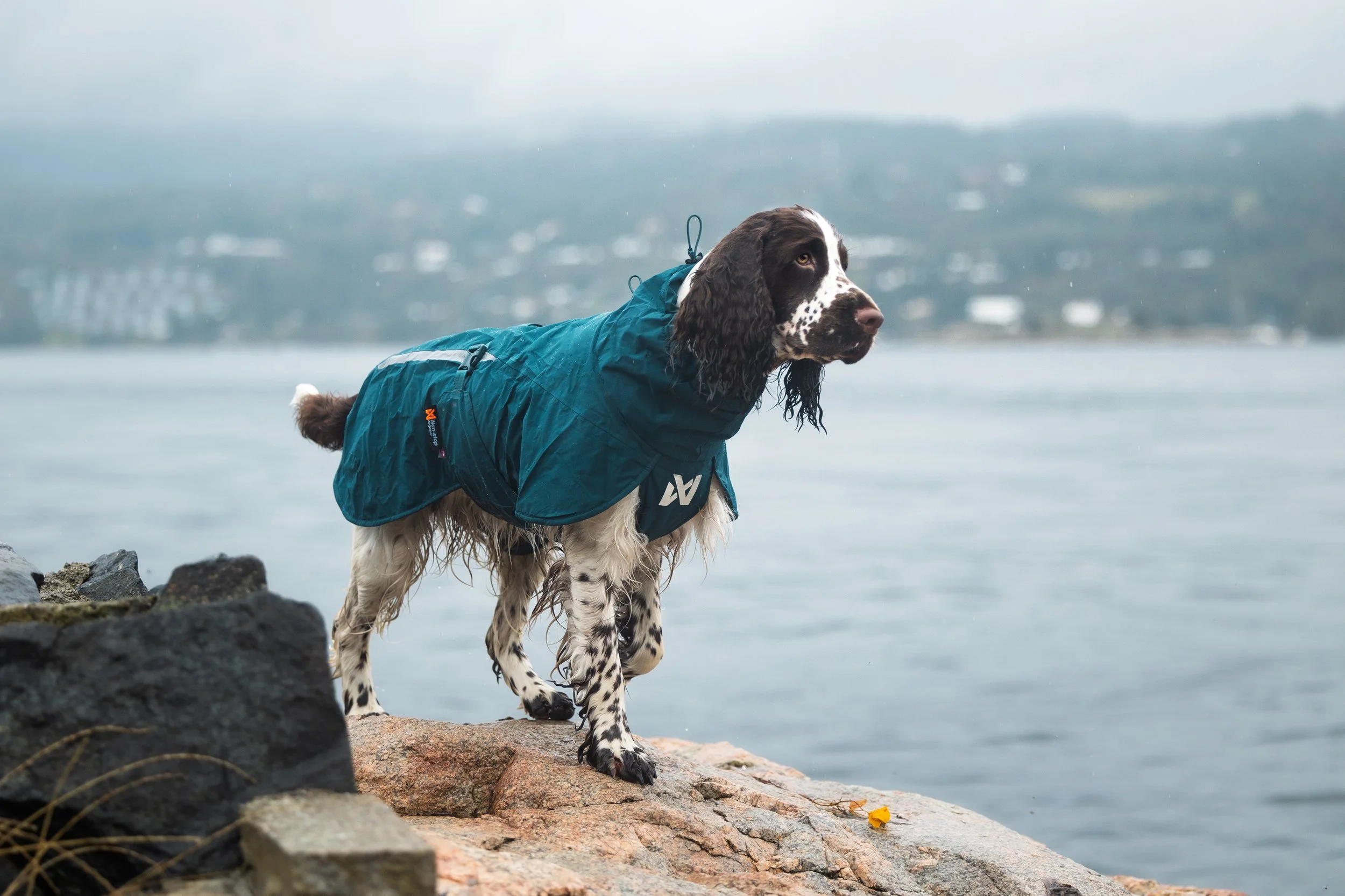 fjord-lined-raincoat-dark-teal-4588-4599-01-lifestyle.jpg