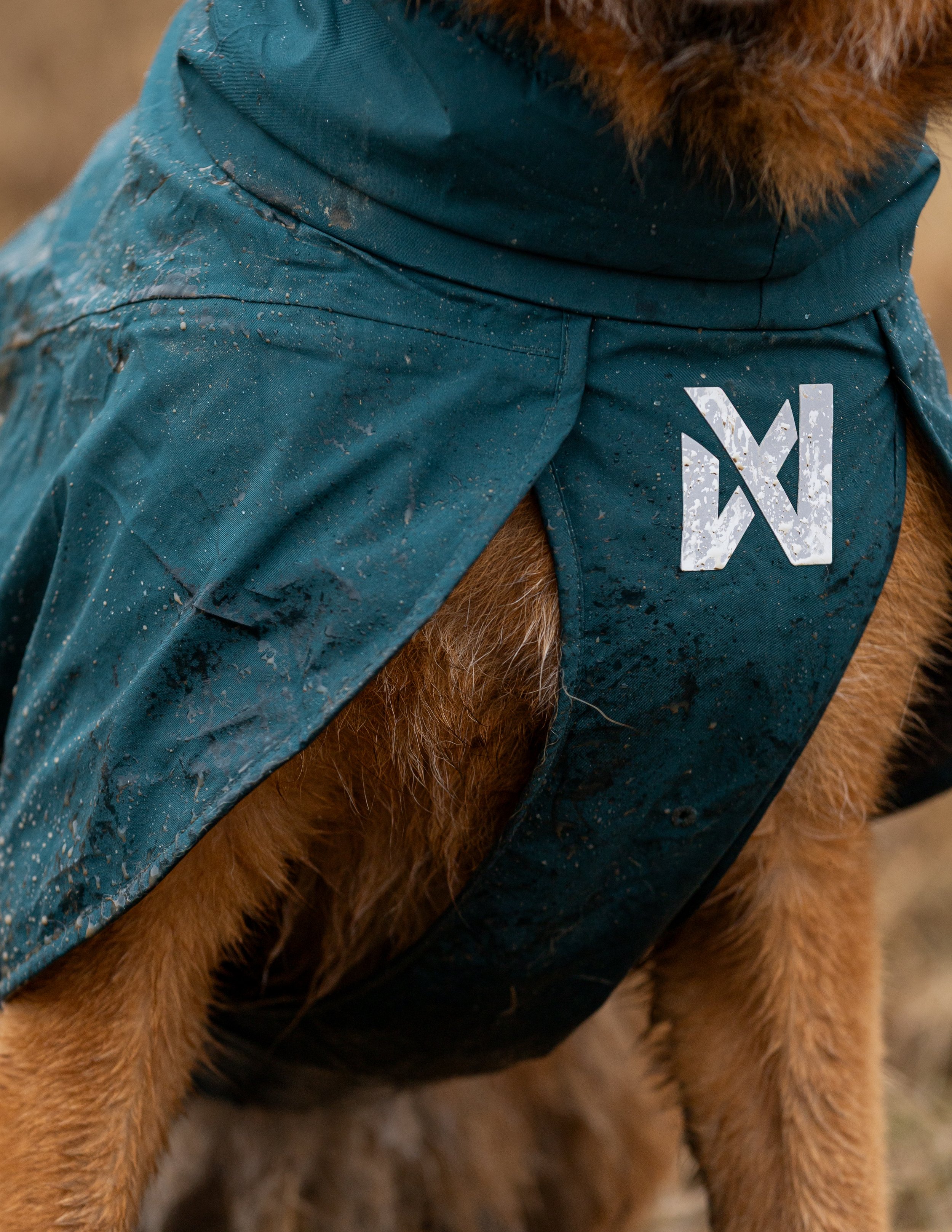 fjord-lined-raincoat-dark-teal-4588-4599-33-lifestyle..jpg