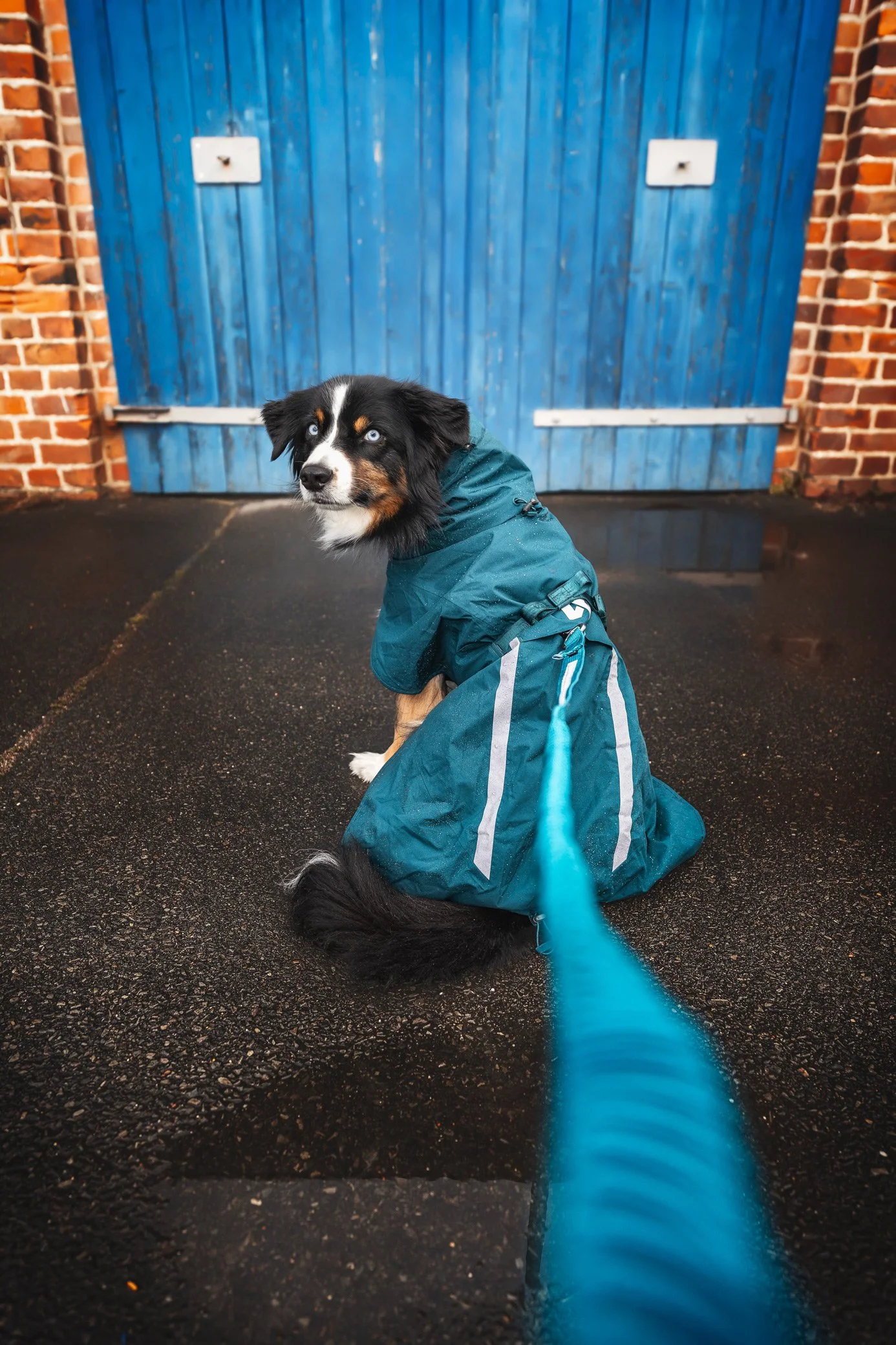 fjord-lined-raincoat-dark-teal-4588-4599-58-lifestyle.jpg