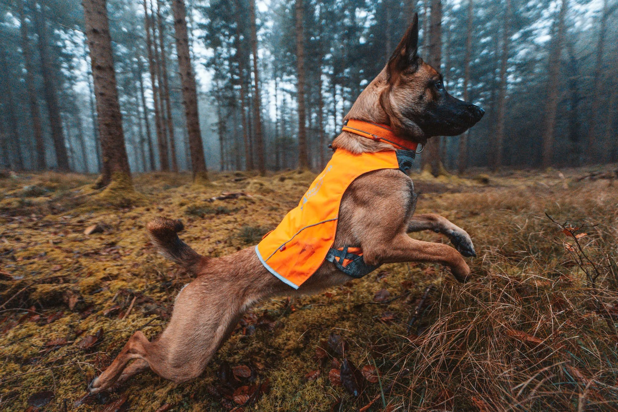ProtectorVest_Orange_1739, 1746–1750_02_Lifestyle.jpg