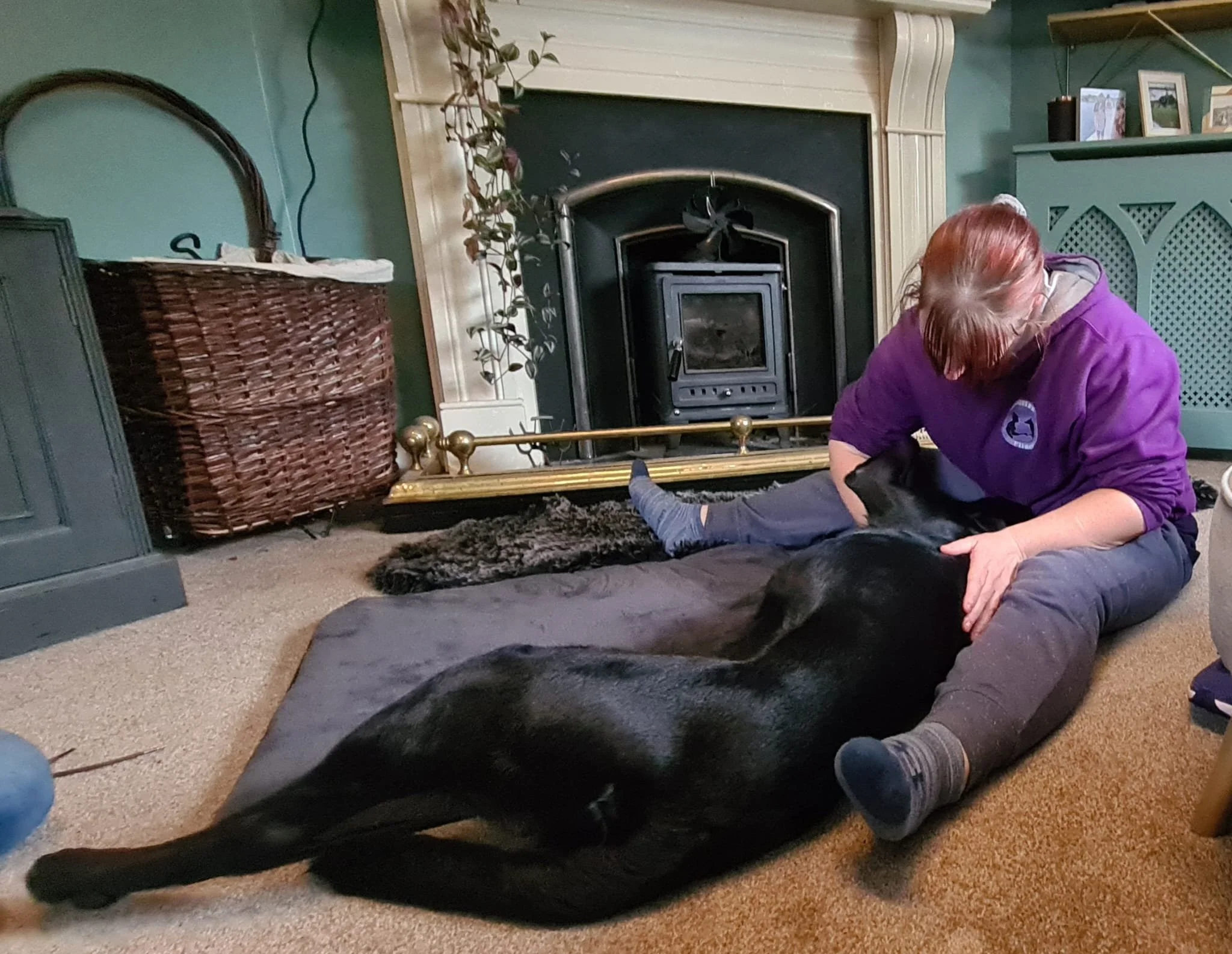 Canine Myotherapy block booking (3 sessions)
