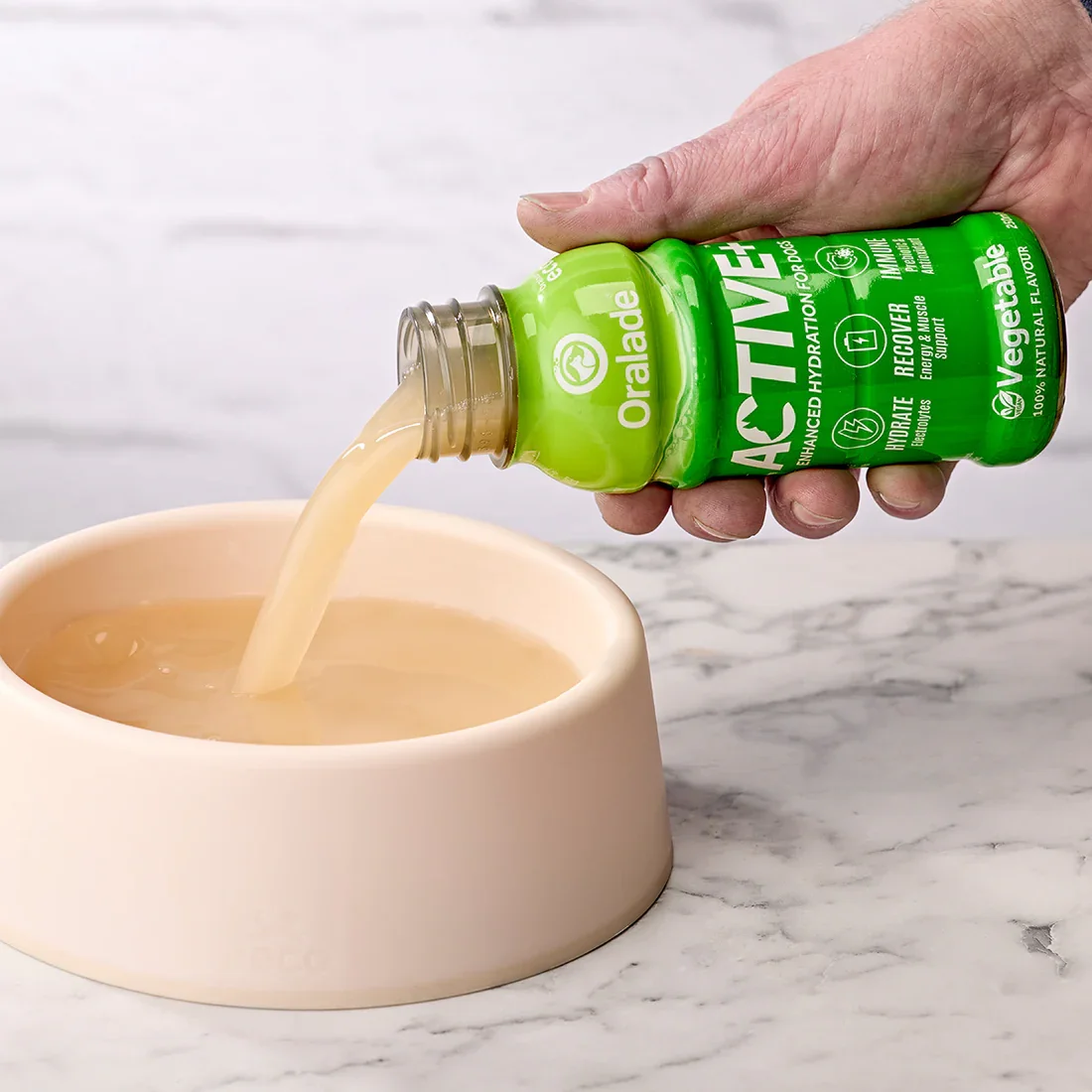Active__Veg_Pouring.webp