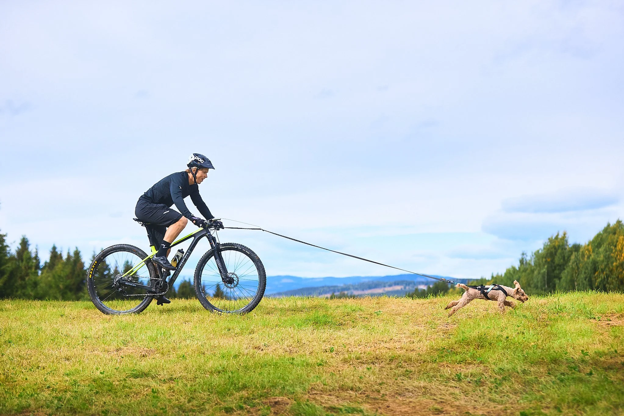 BikeAntenna_Gray_1000_01_Lifestyle.jpg