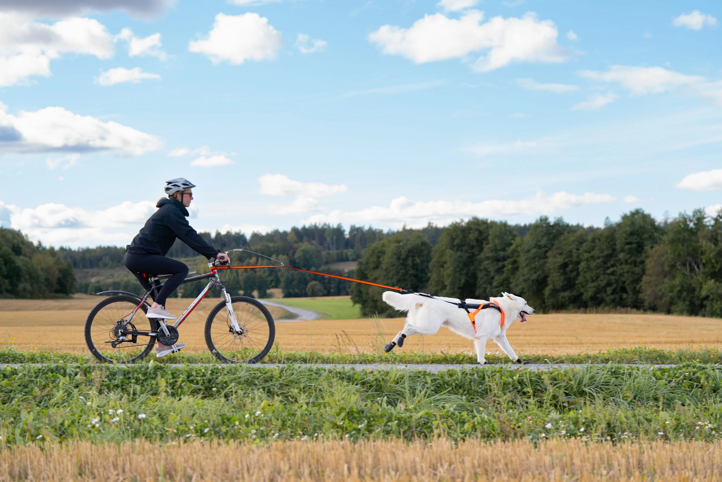 BikeAntenna_Gray_1000_03_Lifestyle.jpg