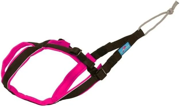 Inlandsis Open Back Harness