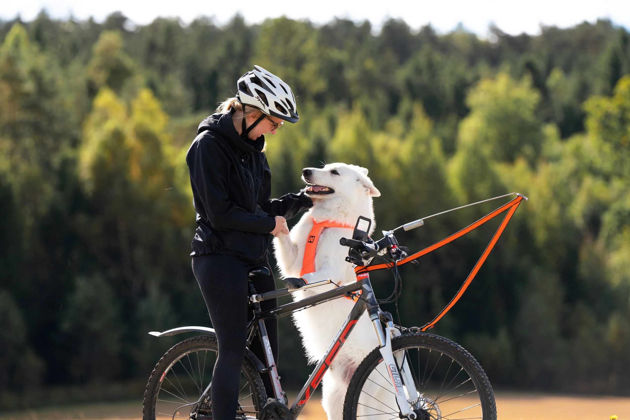 BikeAntenna_Gray_1000_04_Lifestyle.jpg
