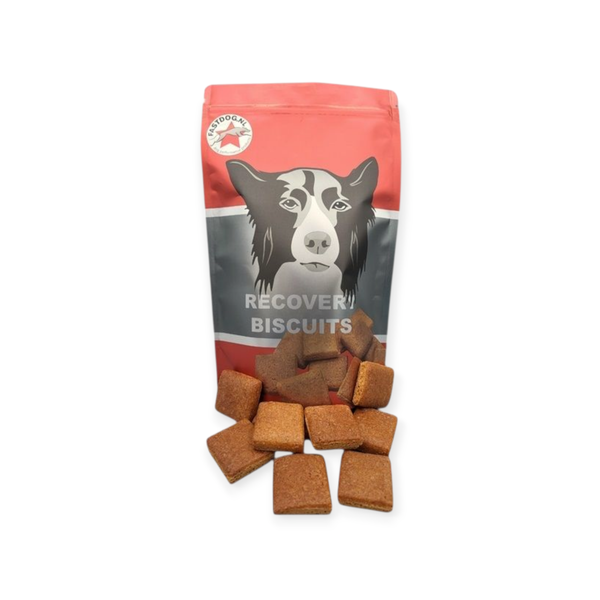 FastDog Recovery Biscuits
