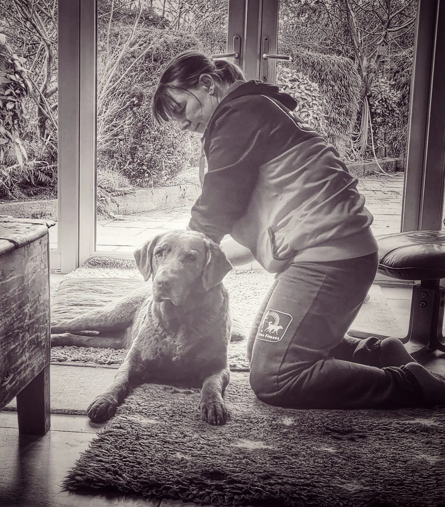 Canine Myotherapy (massage) Session - first visit