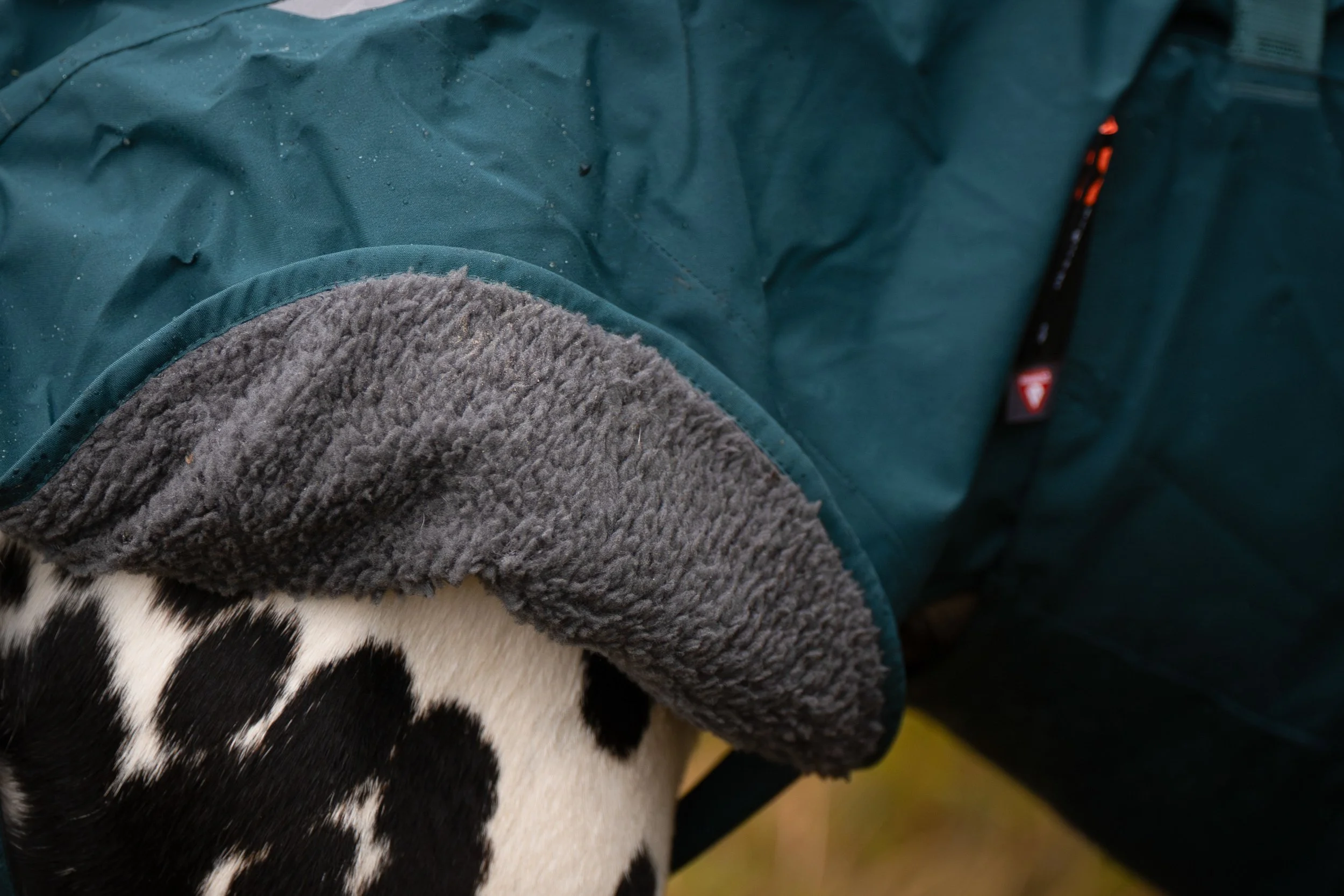 fjord-lined-raincoat-dark-teal-4588-4599-2-feature.jpg
