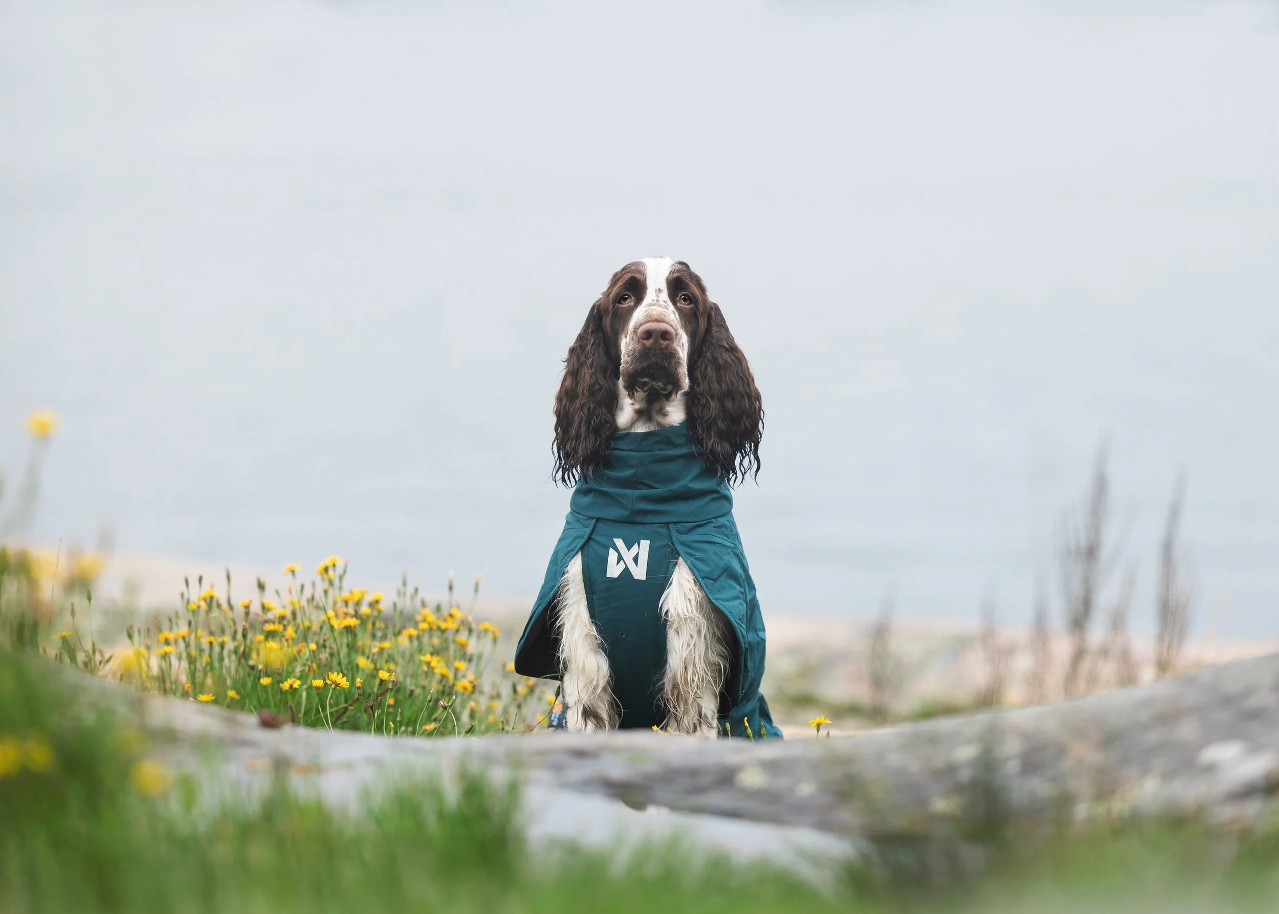 fjord-lined-raincoat-dark-teal-4588-4599-02-lifestyle.jpg