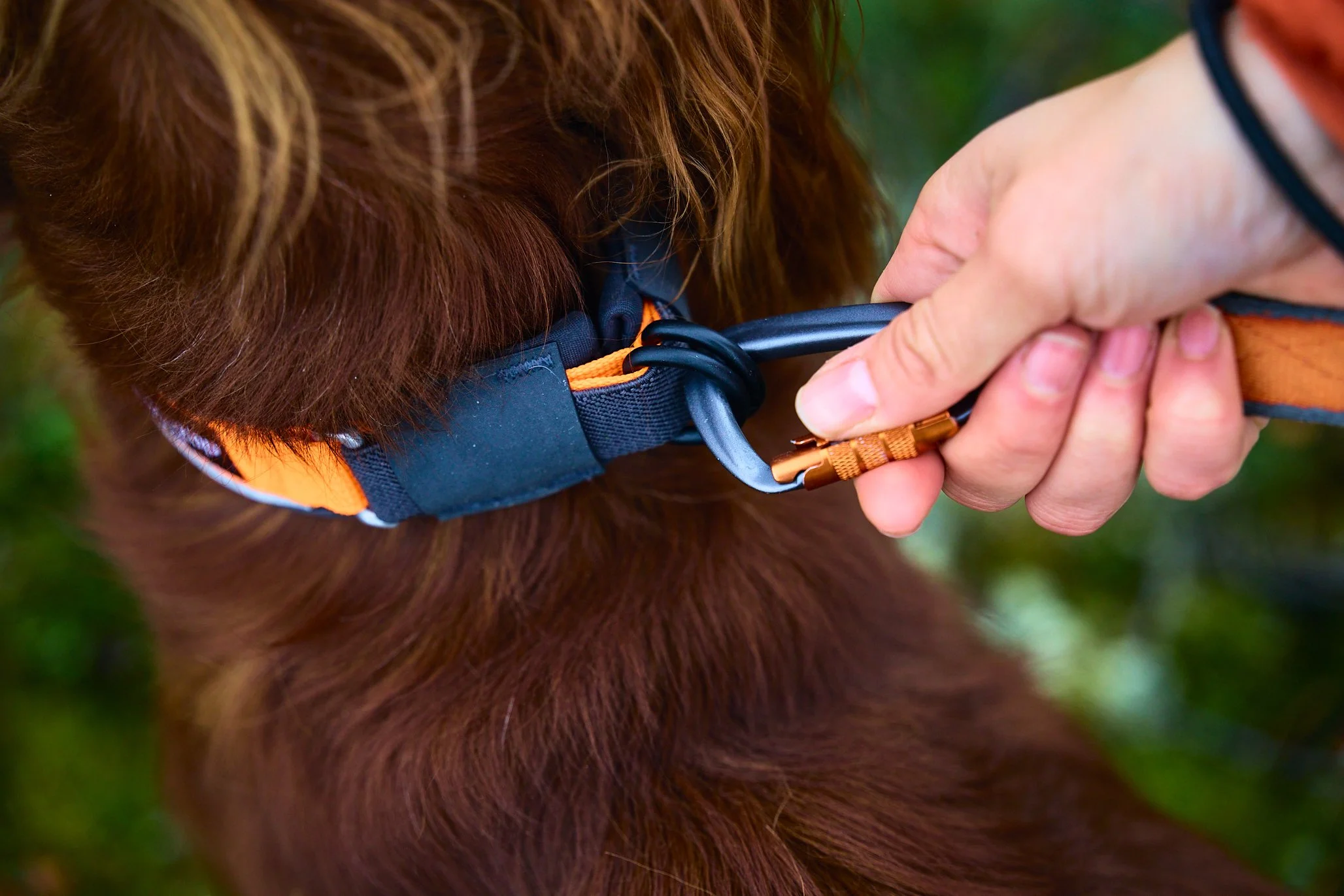 ProtectorCollar_14121-14171_04_Lifestyle.jpg