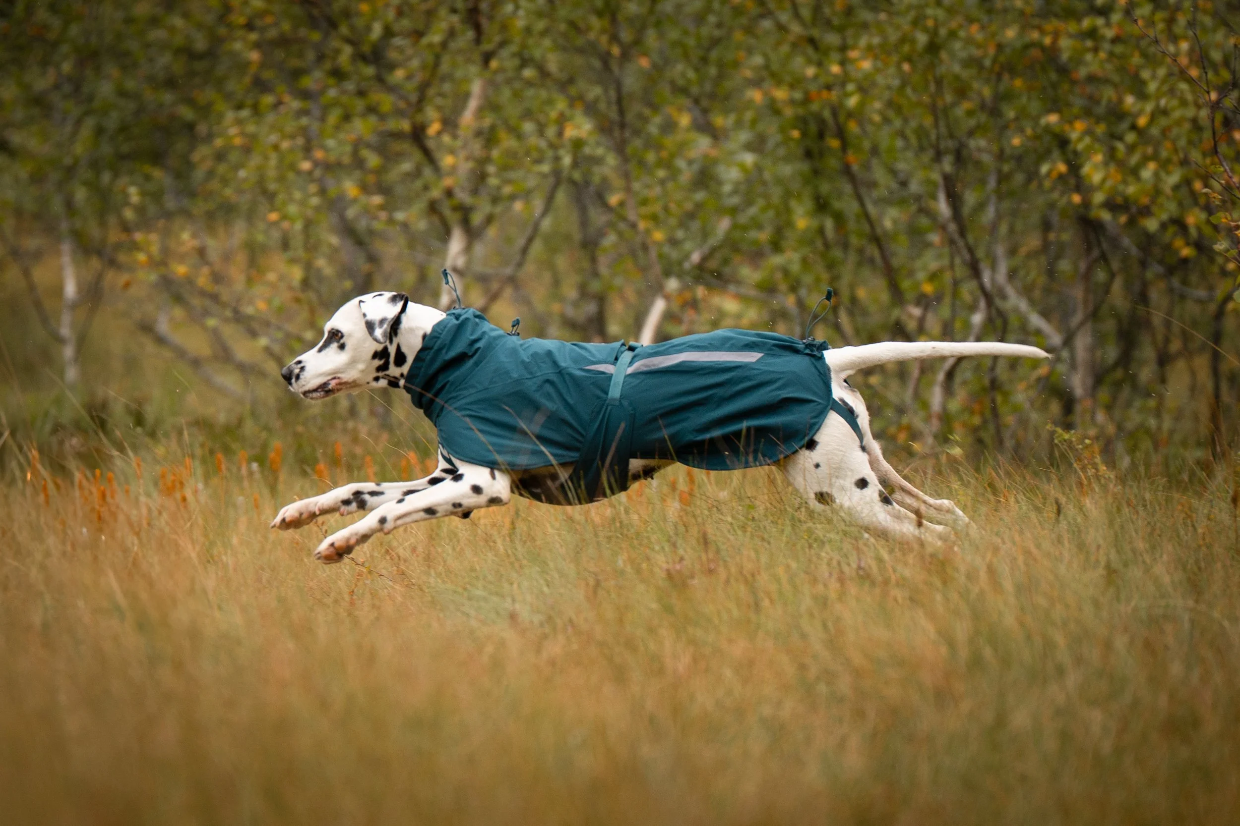 fjord-lined-raincoat-dark-teal-4588-4599-05-lifestyle.jpg