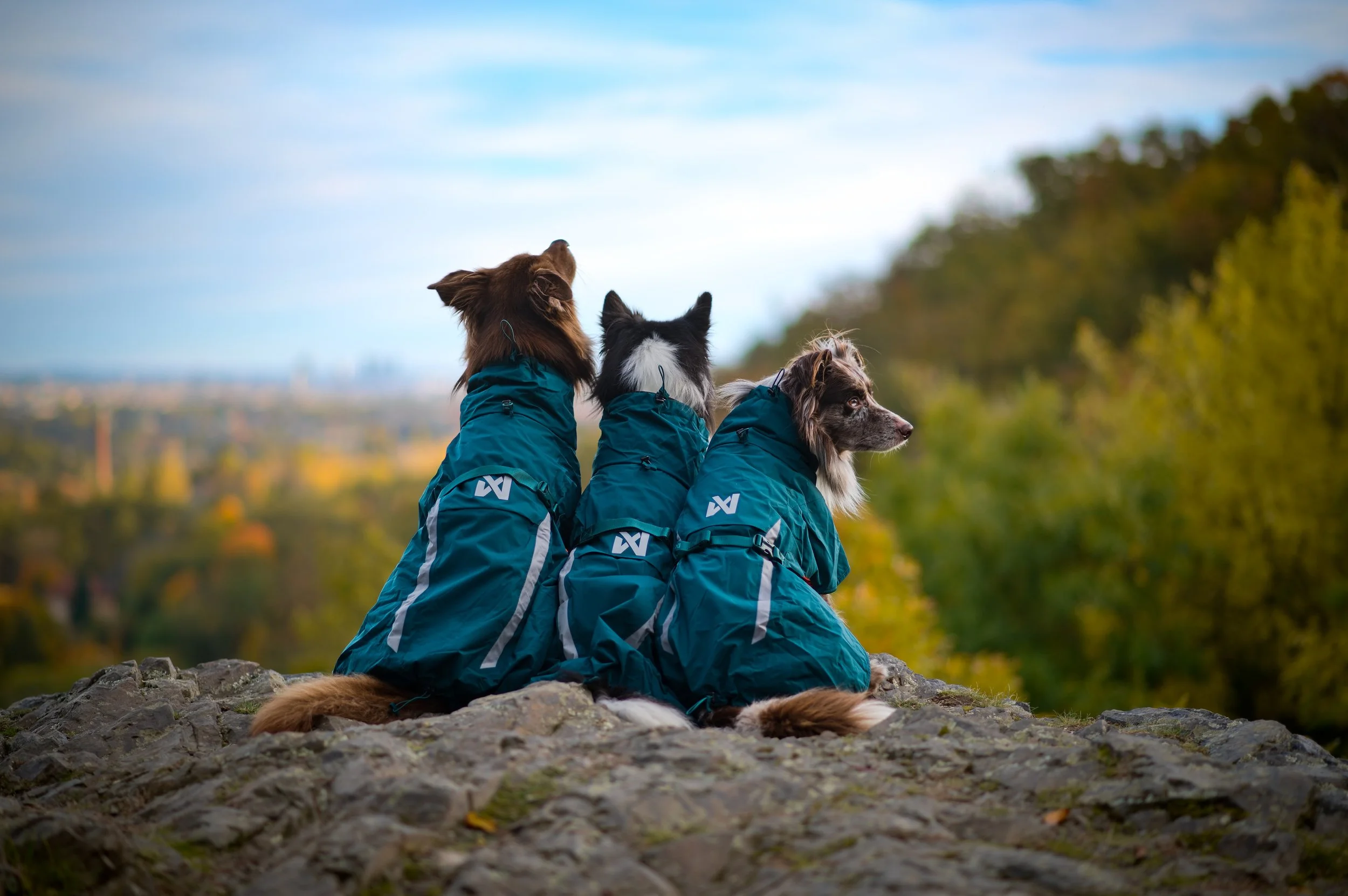 fjord-lined-raincoat-dark-teal-4588-4599-19-lifestyle.jpg