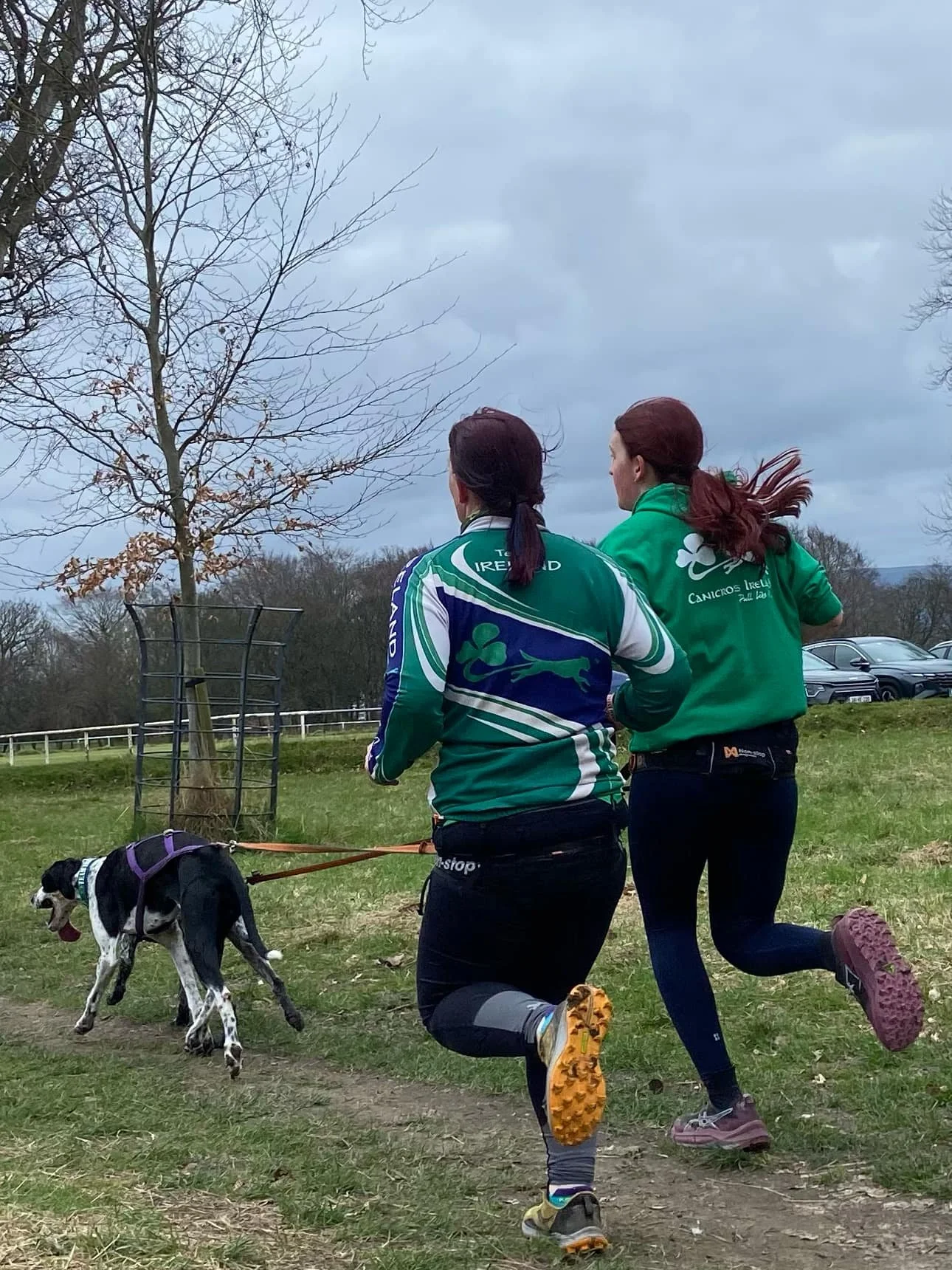 One-to-one training session (canicross, bikejoring, scooter)