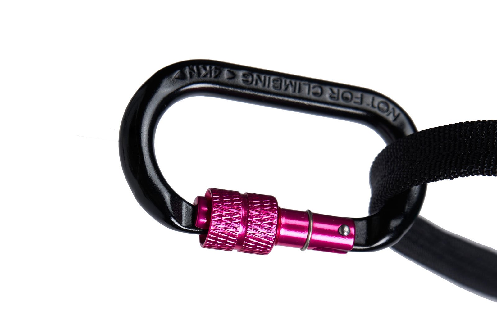 canix_belt_2_aqua-pink_3529-3531_1_feature.jpg.jpg
