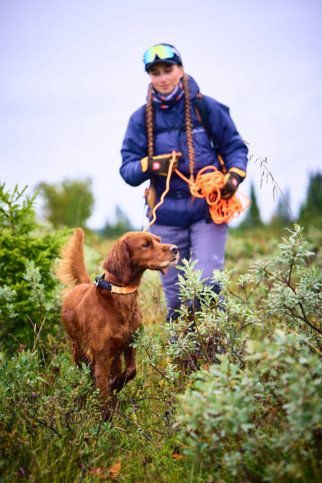 ProtectorCollar_14121-14171_03_Lifestyle.jpg