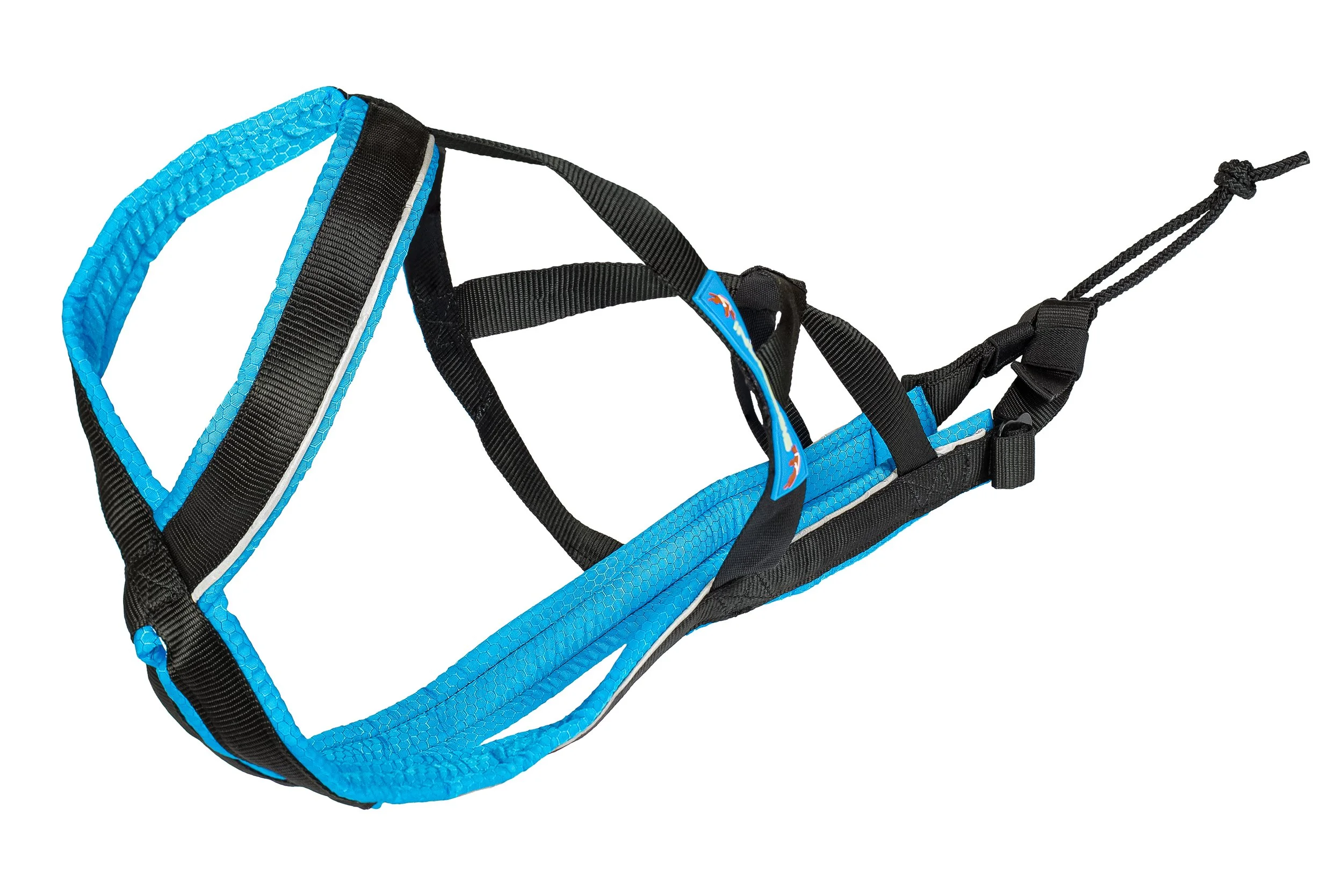 Inlandsis Polar Evo Harness