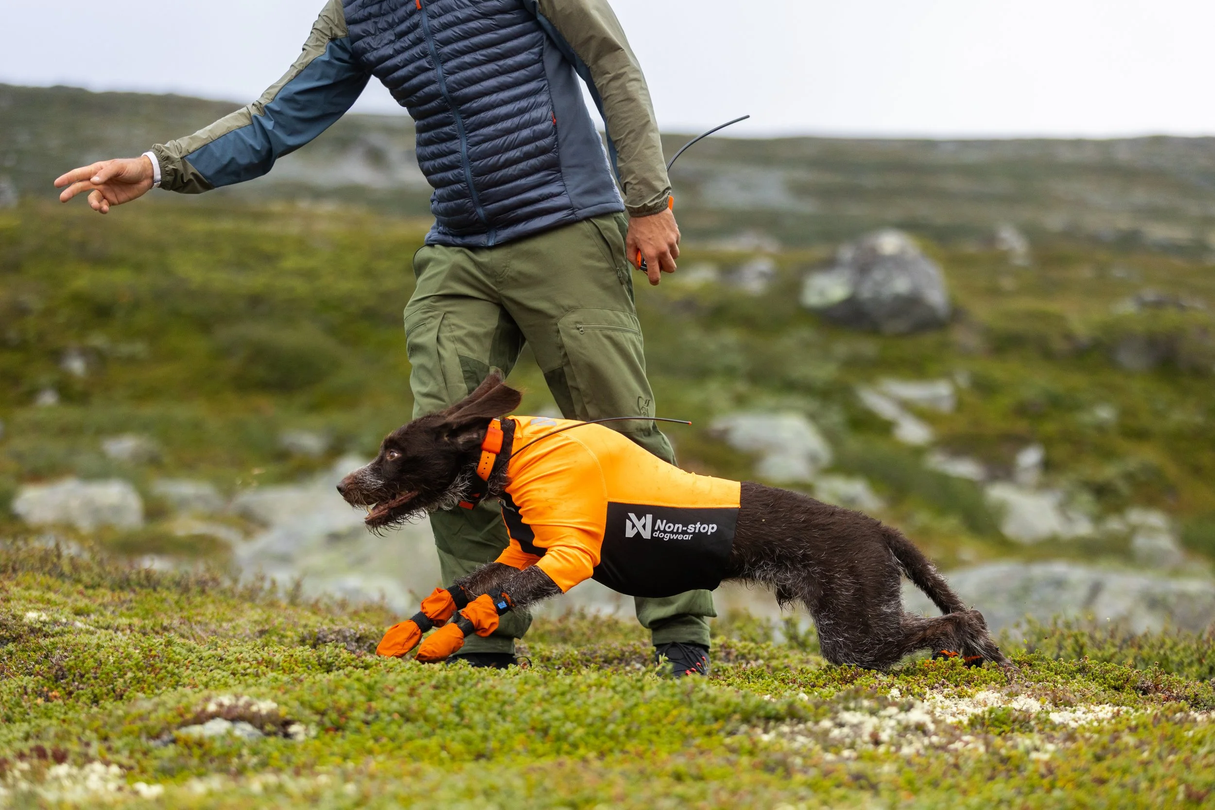 protector-half-suit-orange-4478-4483-02-lifestyle.jpg.jpg