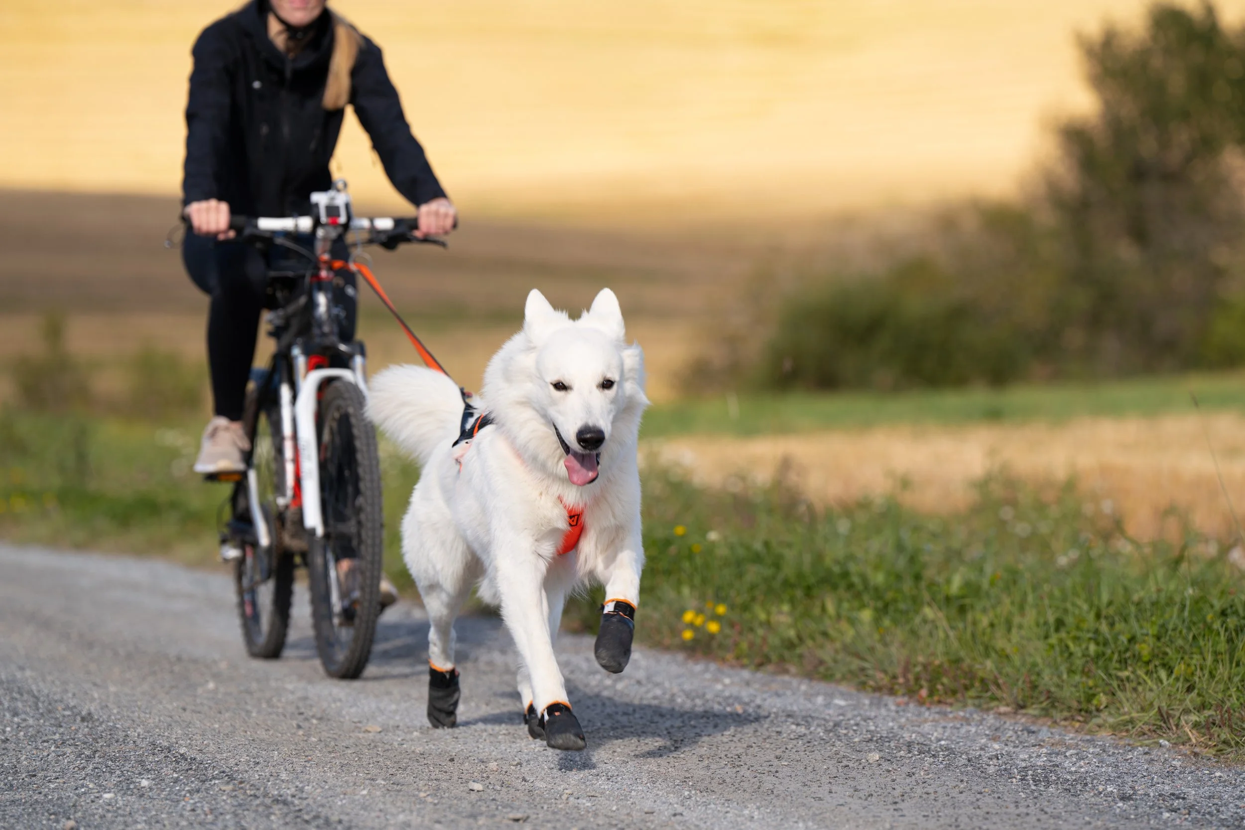 BikeAntenna_Gray_1000_05_Lifestyle.jpg