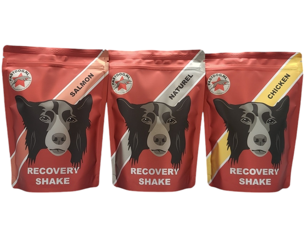 FastDog Recovery Shake