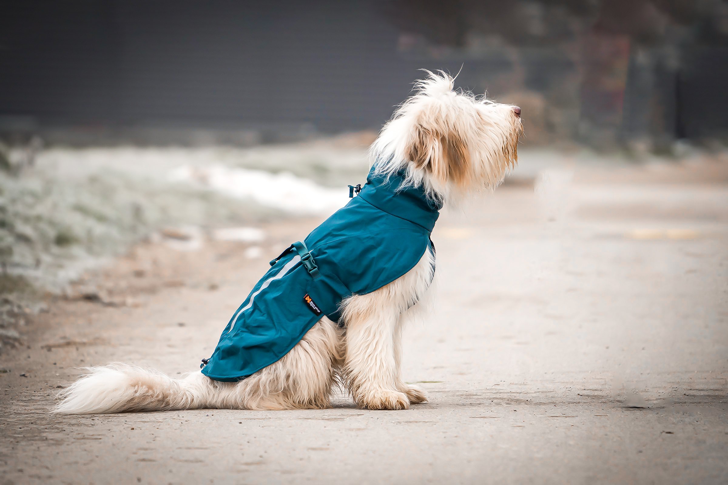 fjord-lined-raincoat-dark-teal-4588-4599-03-lifestyle.JPEG