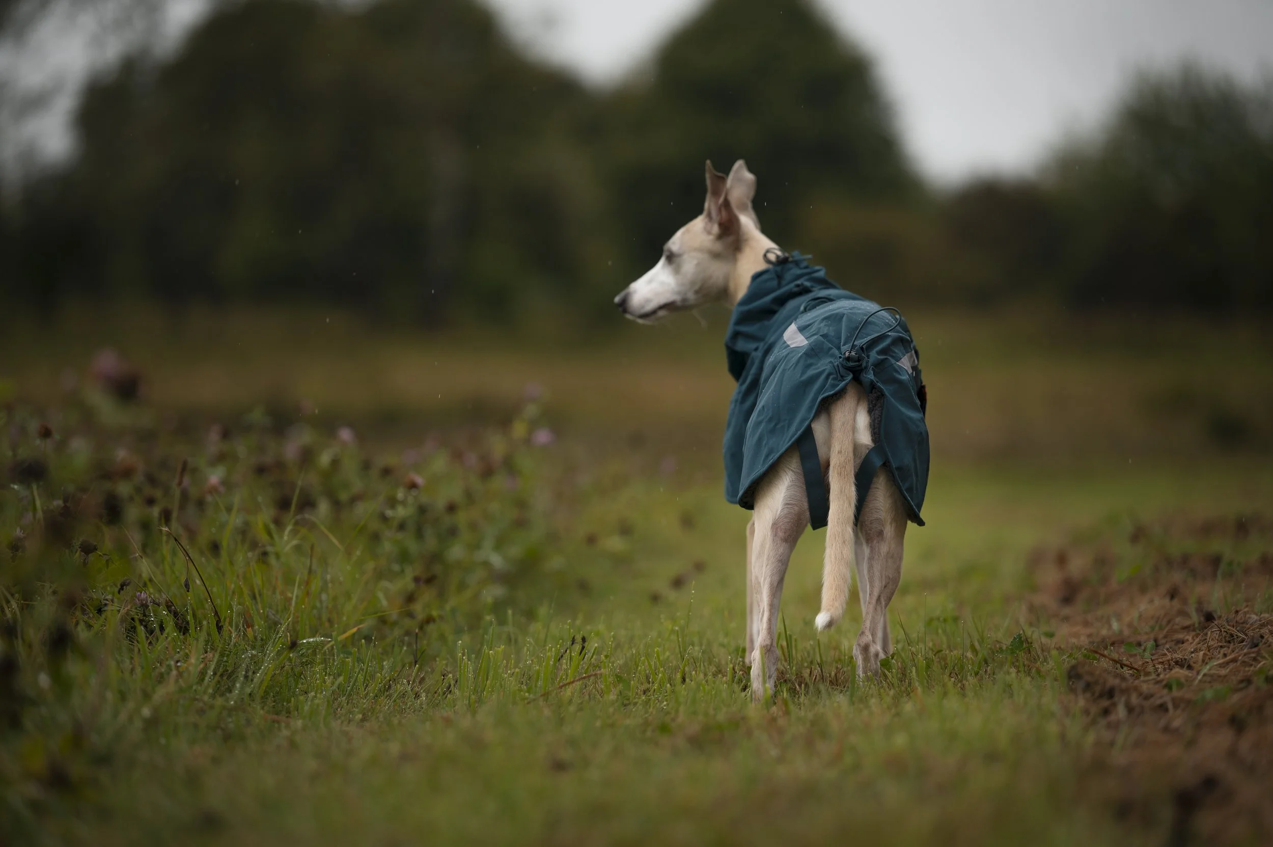 fjord-lined-raincoat-dark-teal-4588-4599-17-lifestyle.jpg