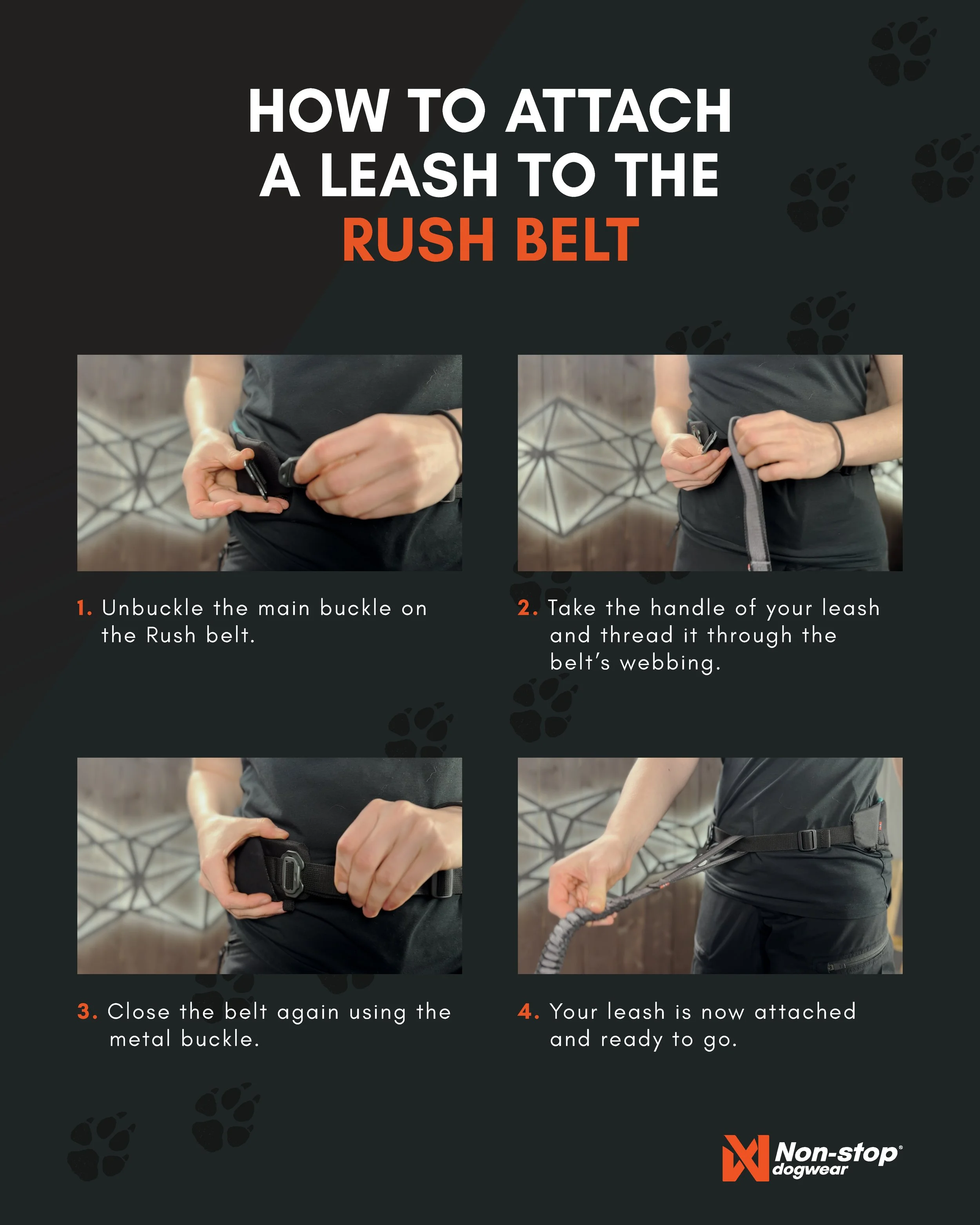 How to attach a leash to the Rush belt.jpg