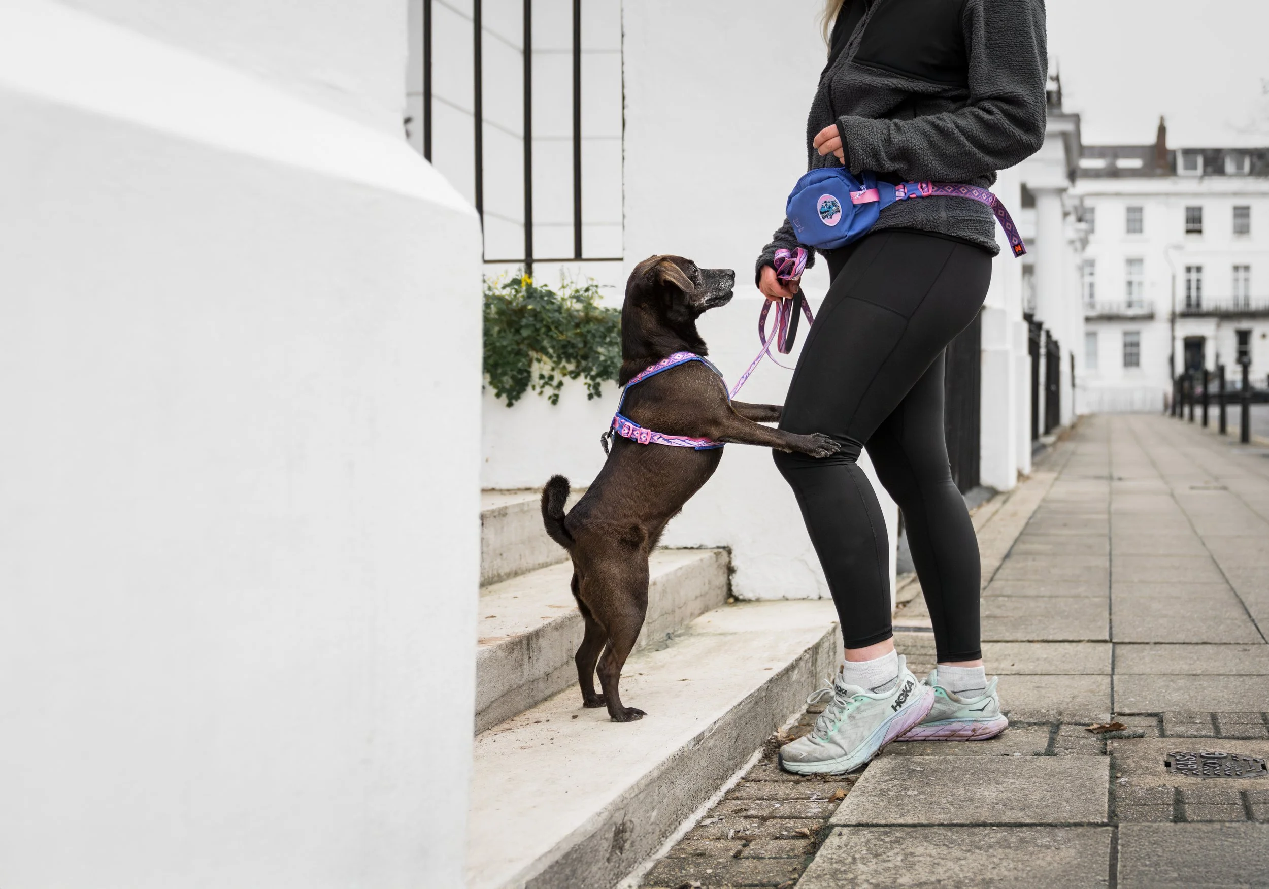 LineHarness5.0RachelPohl_PurplePink_1614-1621_01_Lifestyle.jpg