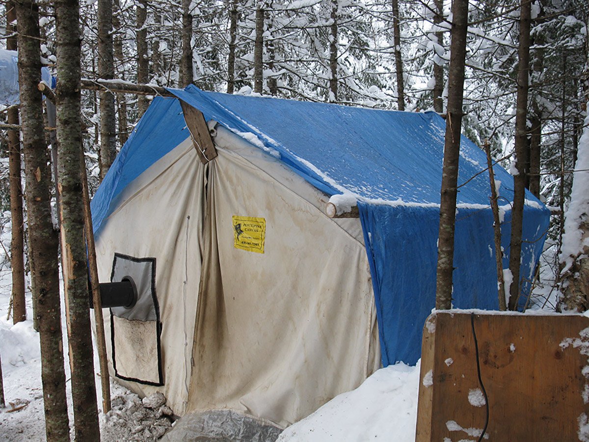 Zen project: winter camp