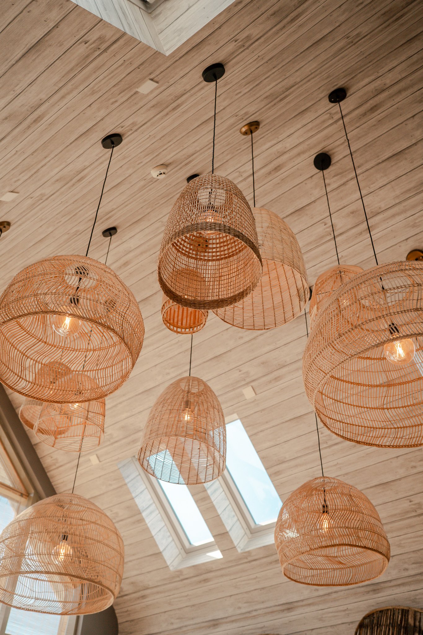 DSC00693.jpg