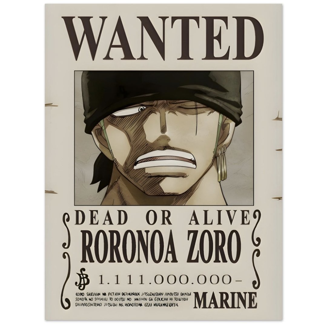 Zoro one piece