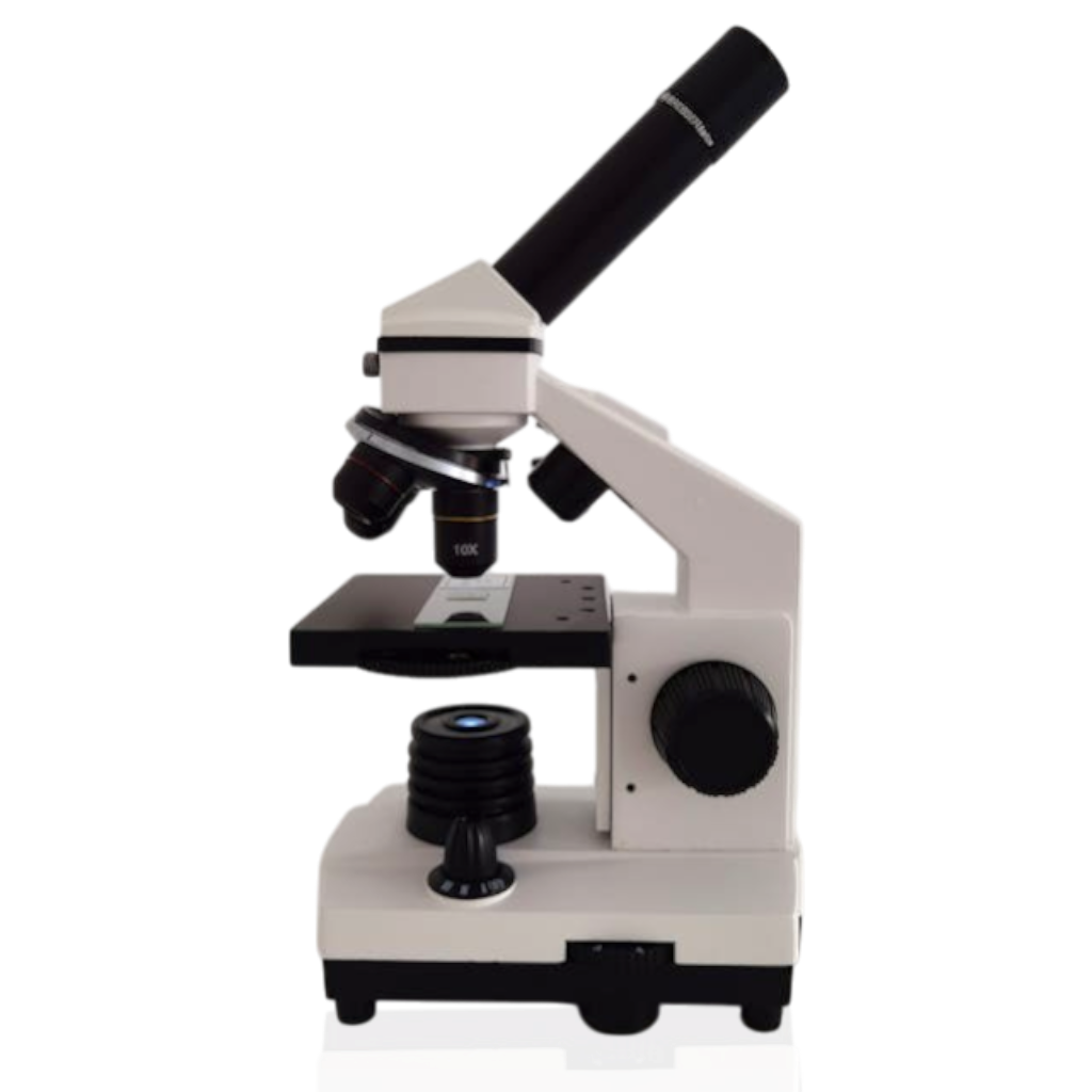 microscope