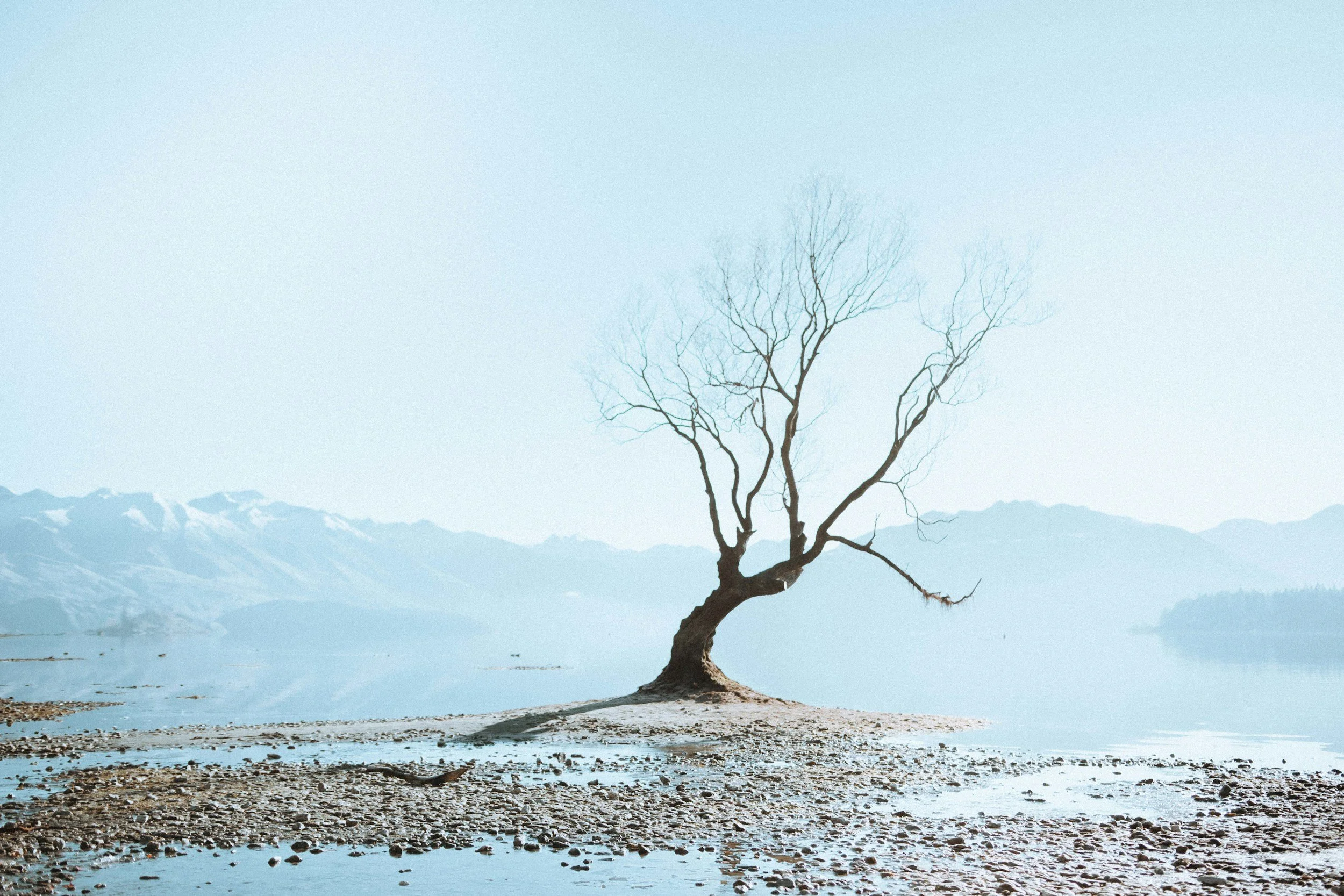 Grief and loss