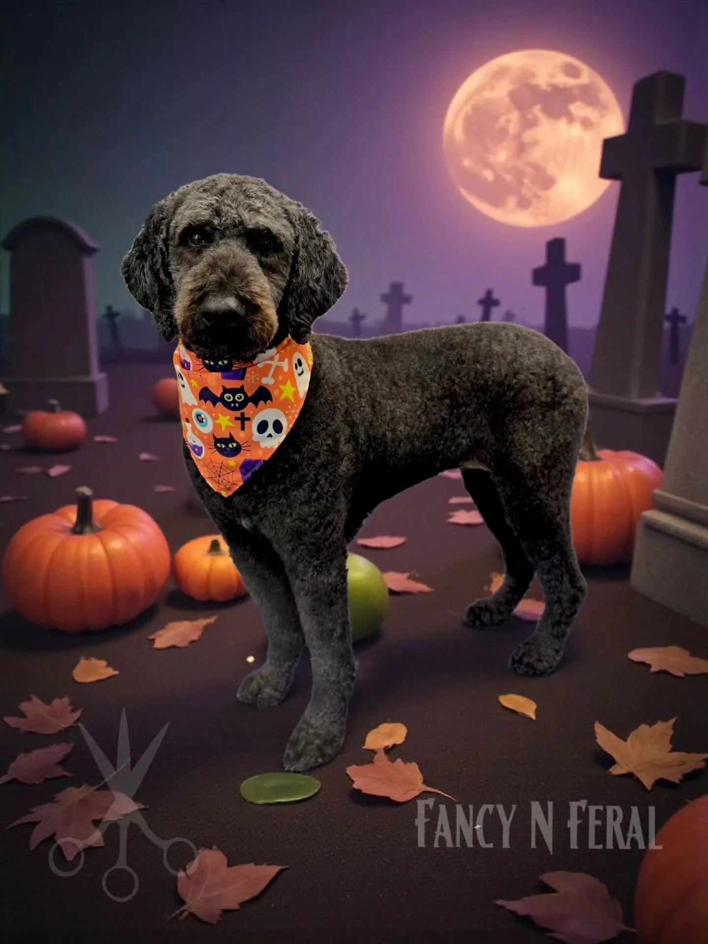 Ready for all the TREATS! 🎃

BOOK TODAY 629-333-1513 
FANCYNFERAL.COM 

#doggrooming 
#franklintn 
#doodlegroomer 
#doodles 
#doodlesofnashville 
#doggroomer 
#mobiledoggroomer 
#mobiledoggrooming