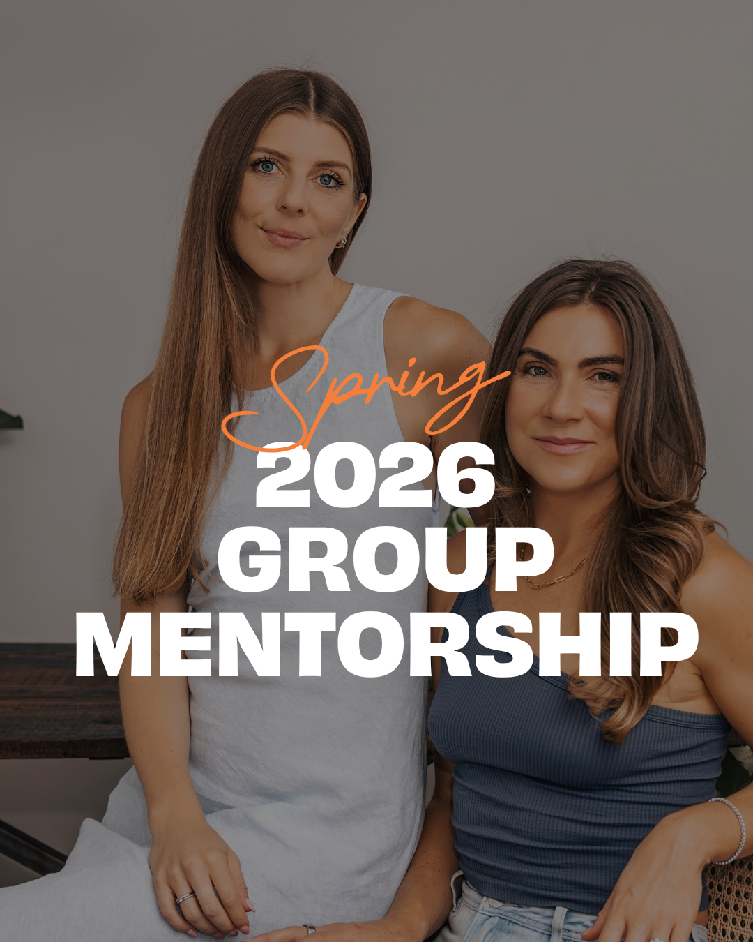 Spring 2026 Group Mentorship (Starts October 2026)