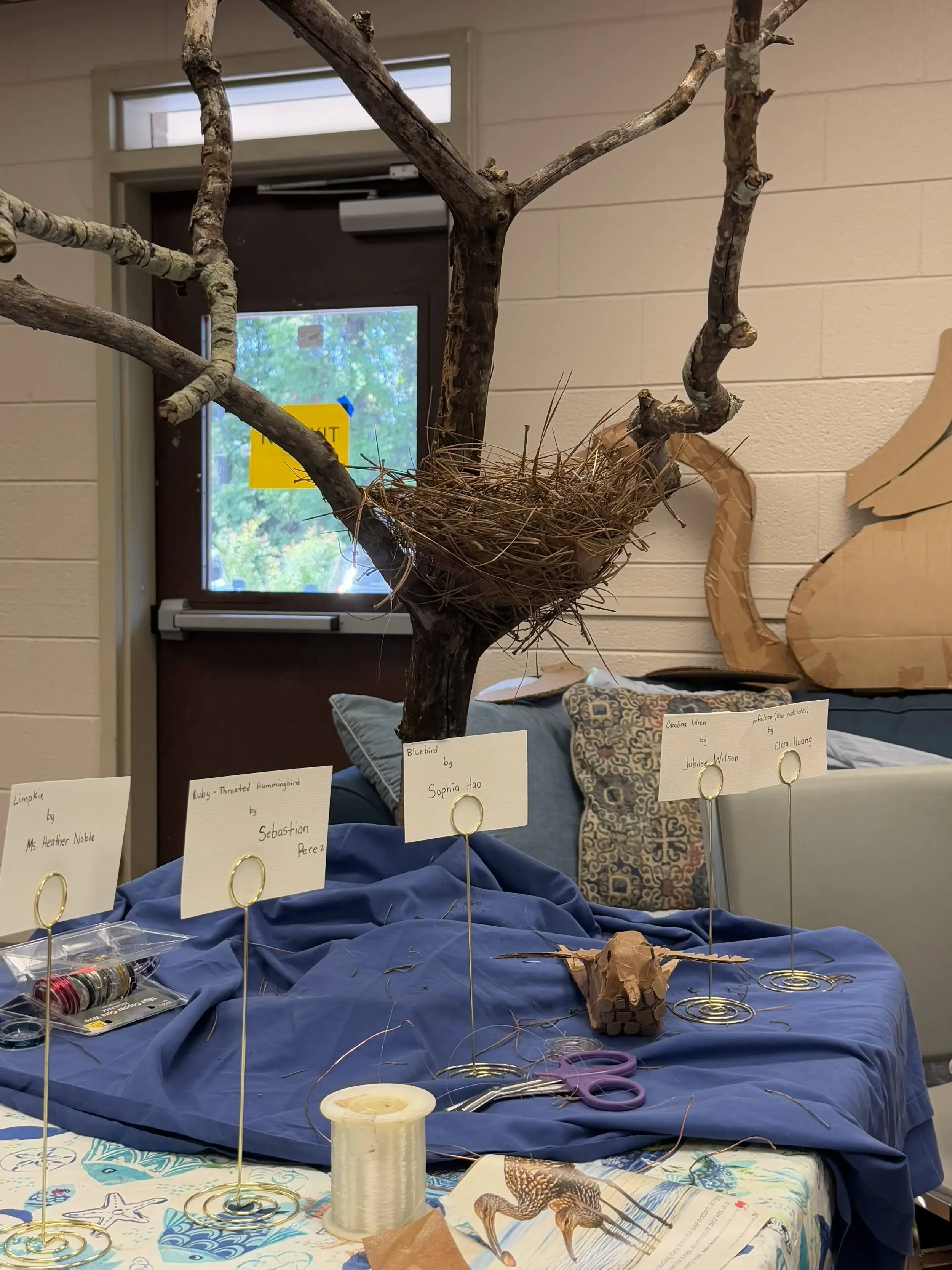 A nature-inspired sculpture display featuring branches, a bird nest, and labeled student artwork.