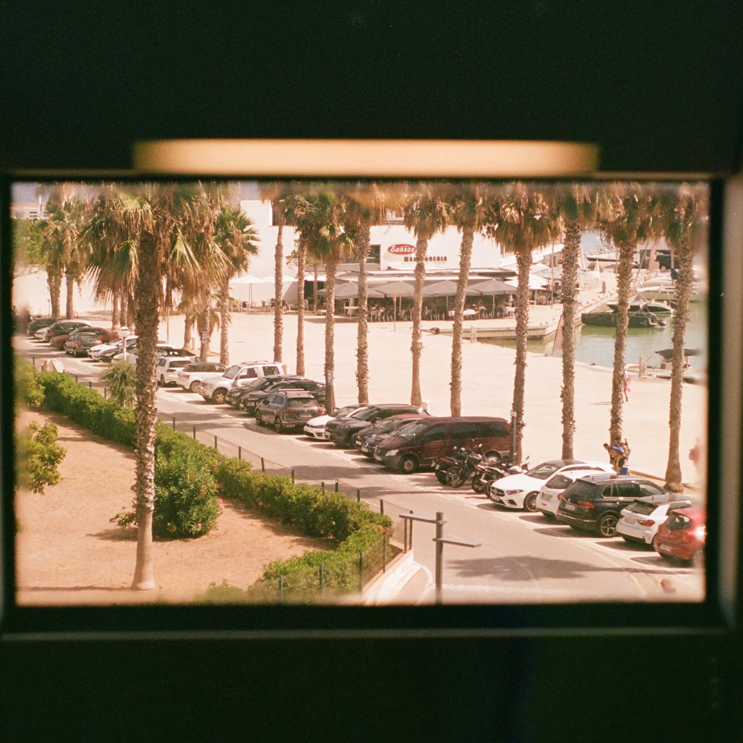 IMG_2942.jpg