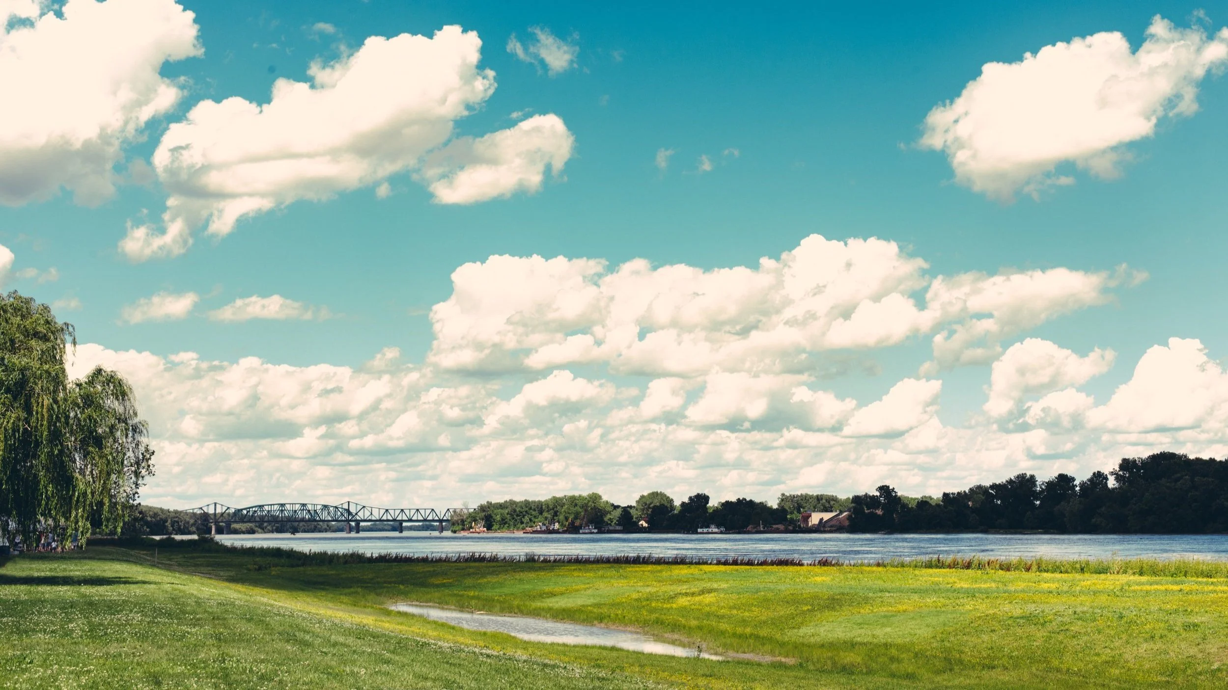 Scenic landscape with a river, grassy fields, a bridge, and a willow tree under a cloudy sky.