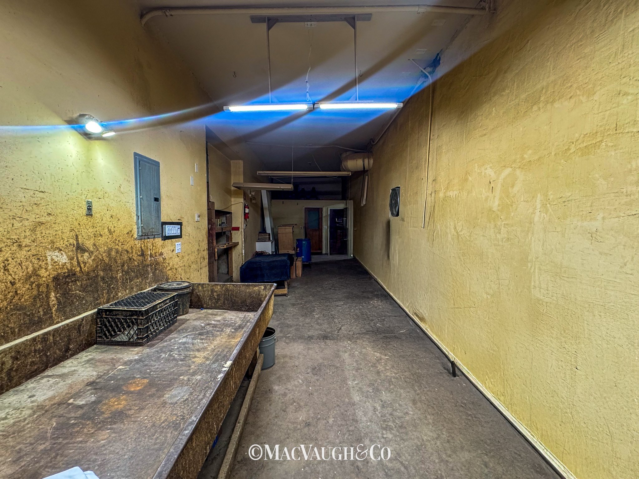 1521 Washington WM-09.jpg