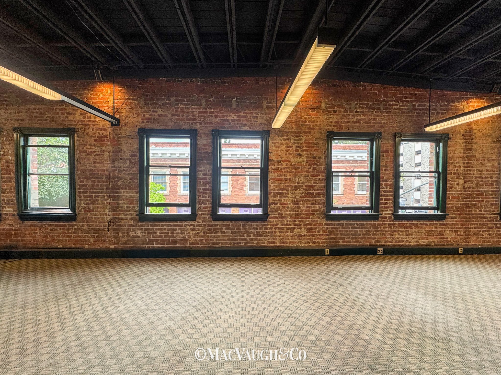 35 NAP_200 WM-03.jpg