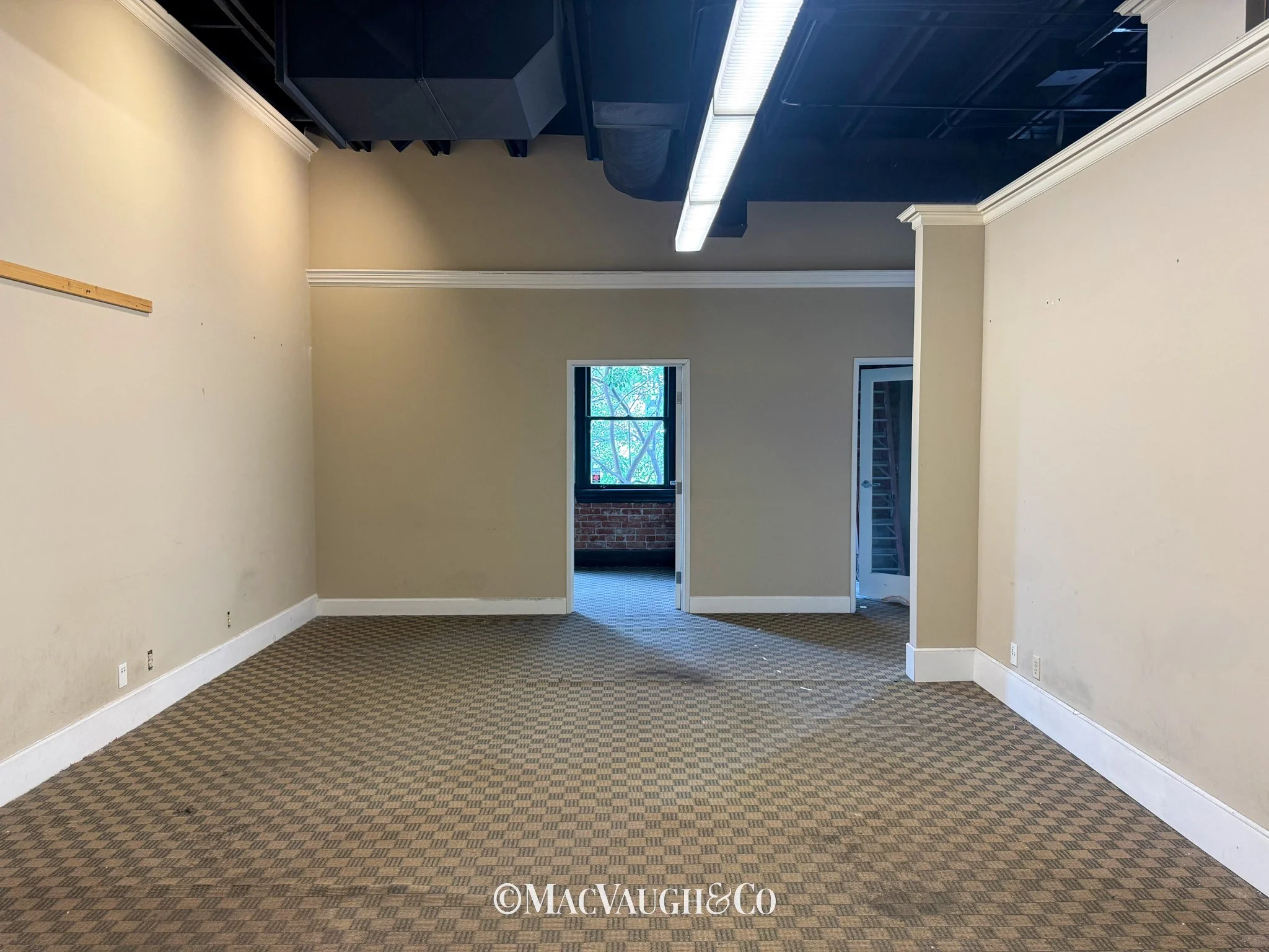 35 NAP_200 WM-02.jpg